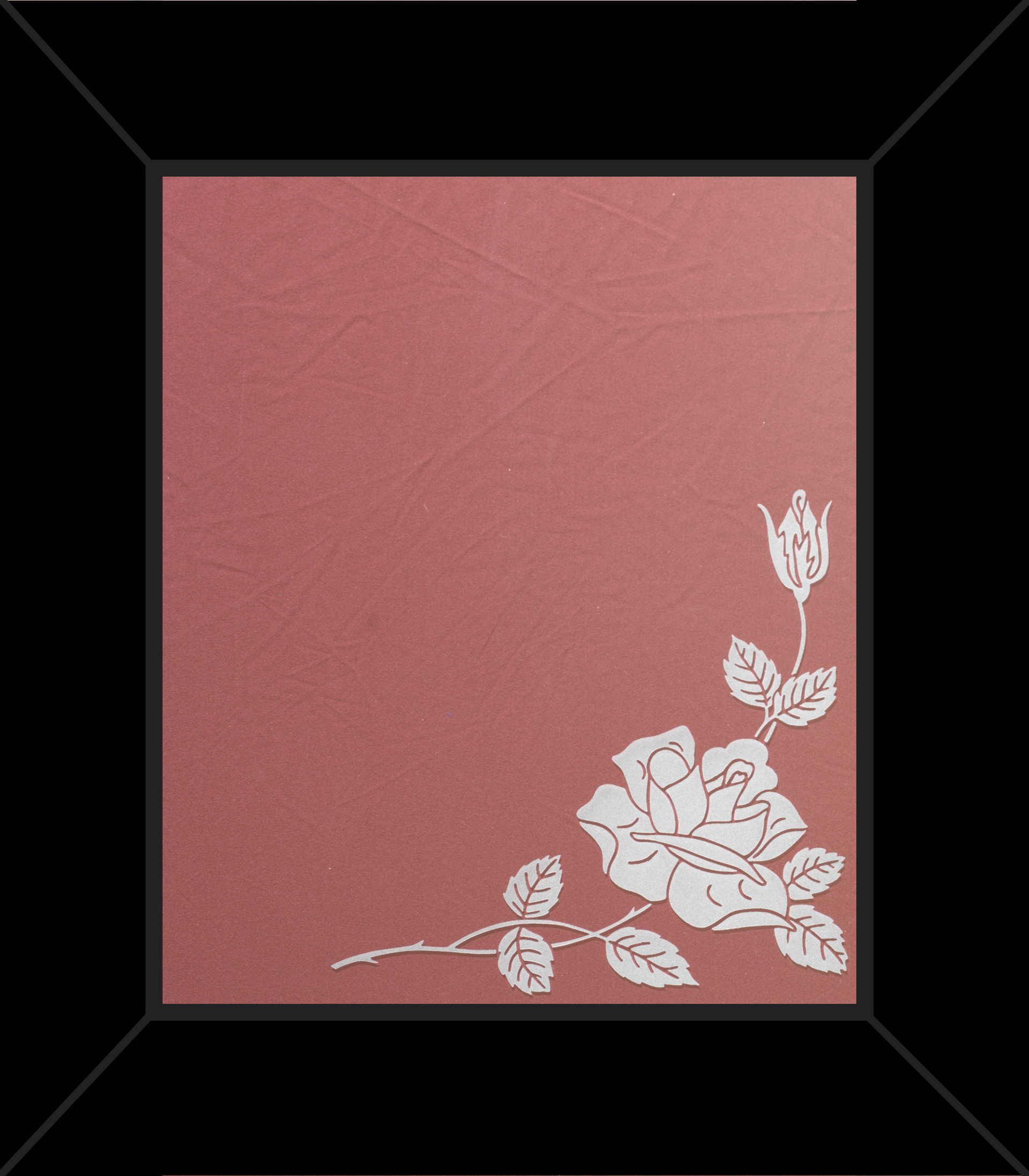 A picture of a white rose on a red background