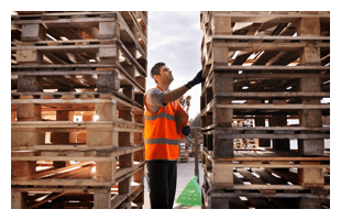 A man checking some wooden pallets