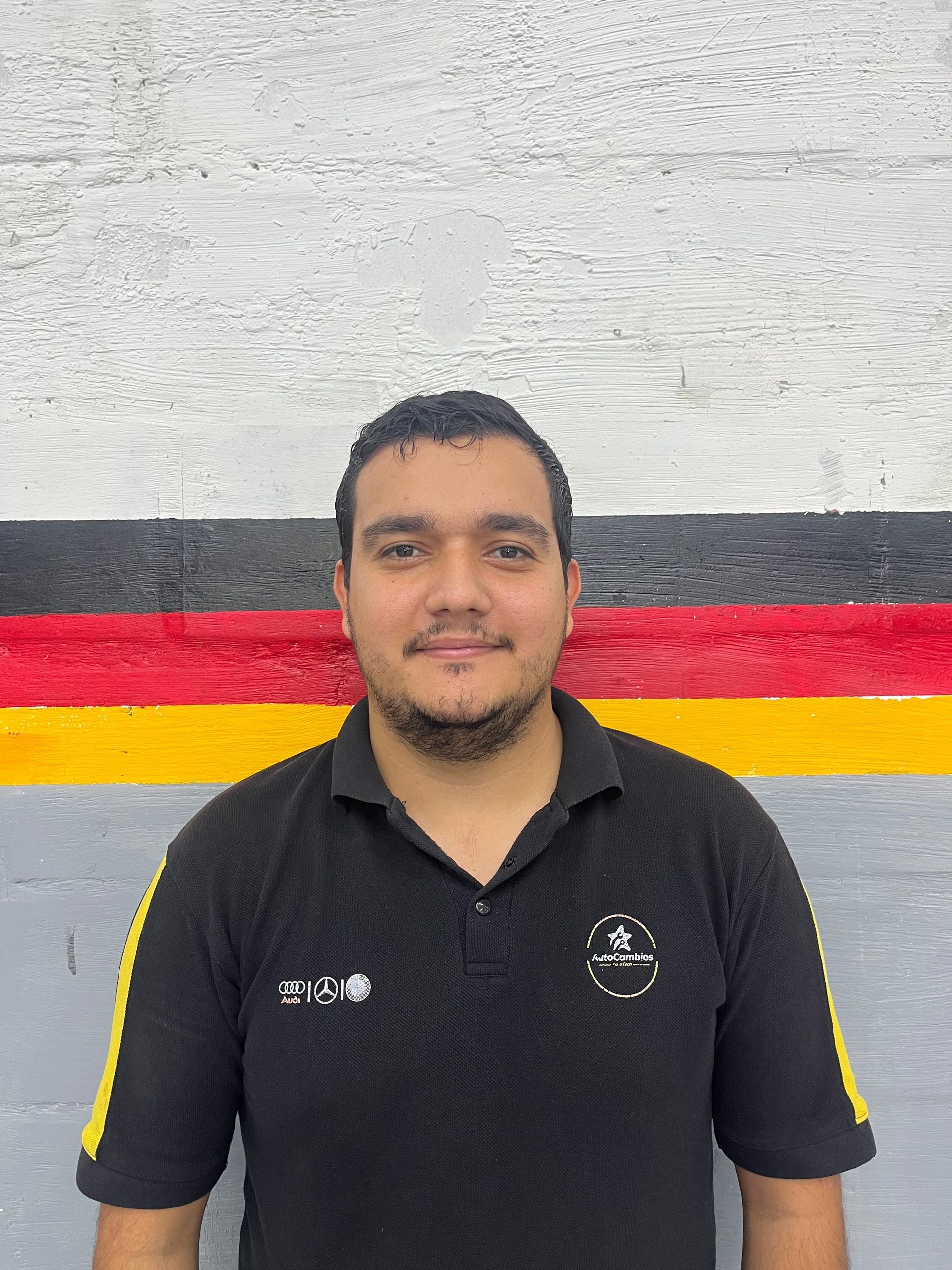 A close up of a palm tree leaf