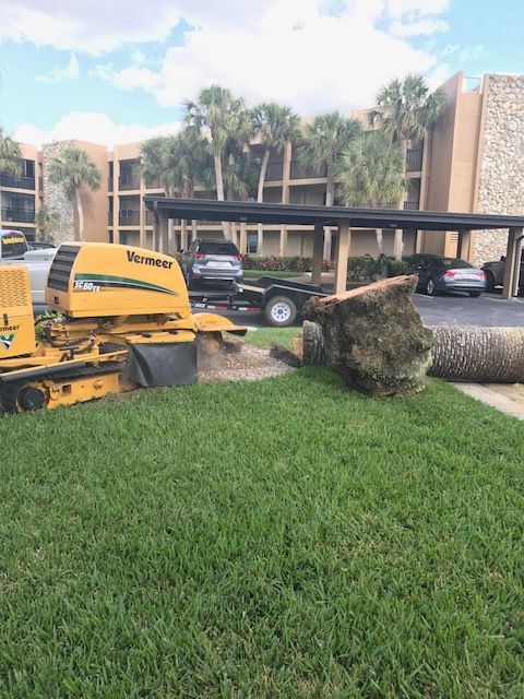 A yellow stump grinder sits on a lawn next to a large tree trunk section in front of a multi-story apartment building.