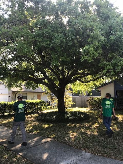 Two arborists in matching green company shirts stand outside under a large, leafy tree.