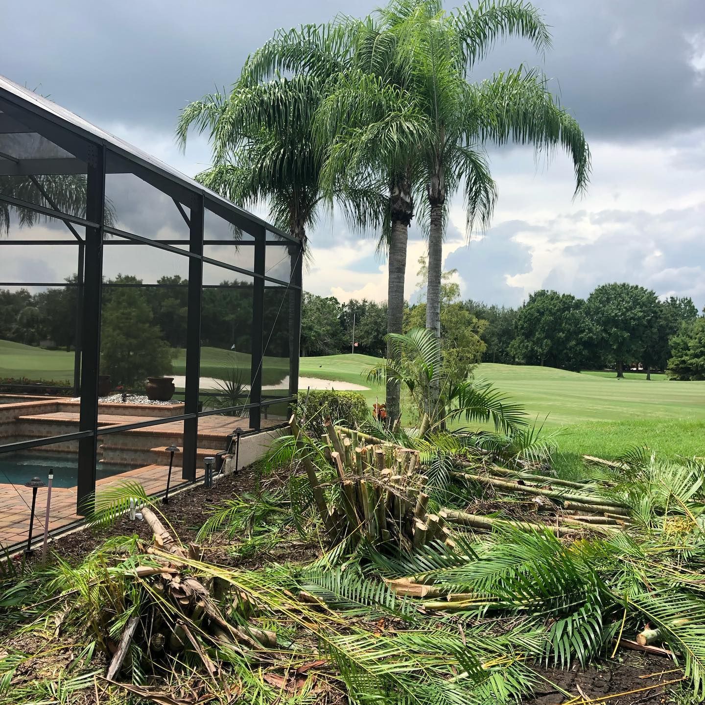 A view of a pool enclosure next to trimmed palm trees and discarded green palm fronds overlooking a green golf course.