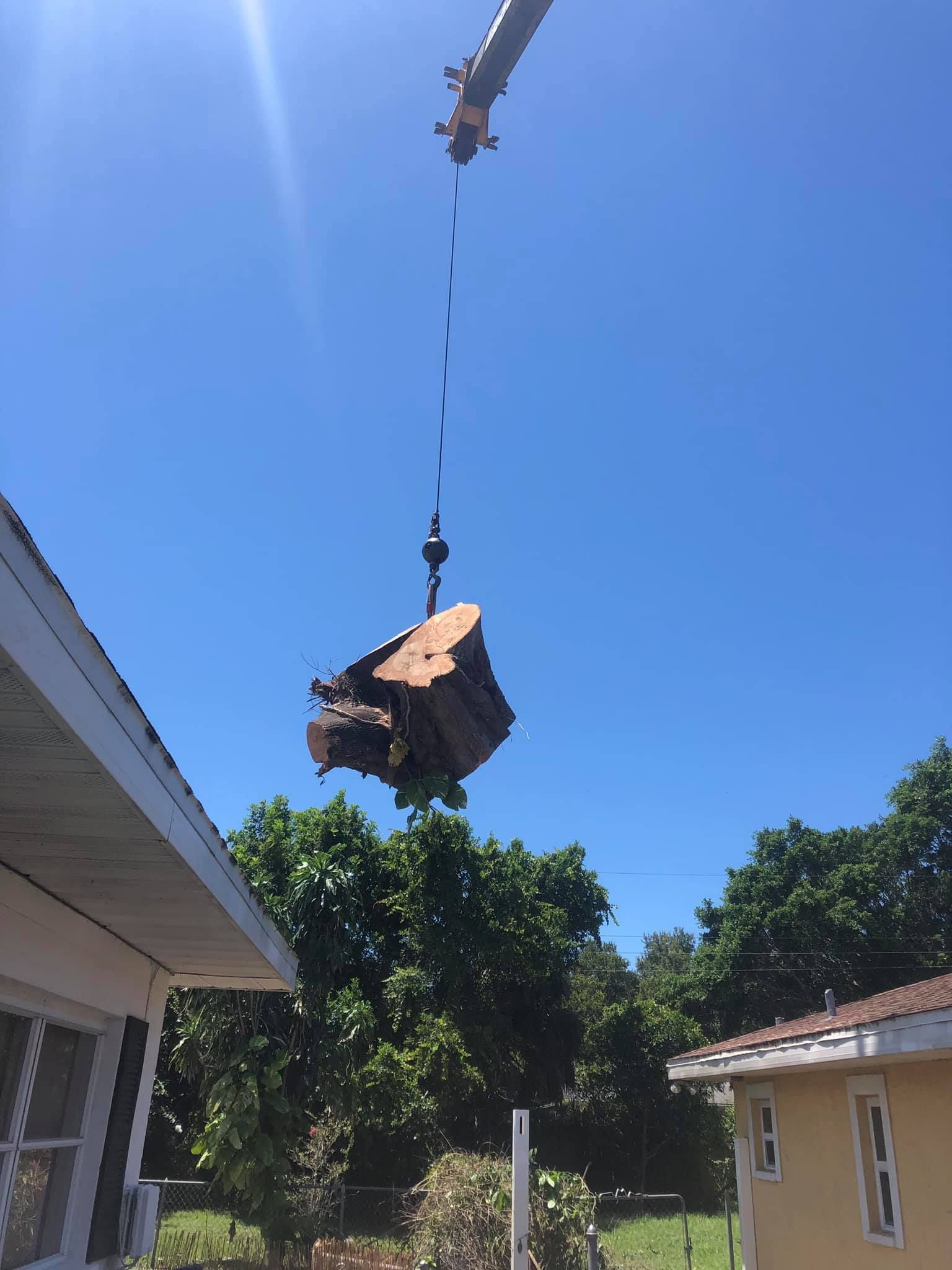 A crane lifting a large, heavy tree trunk through the air above a suburban house under a clear blue sky.