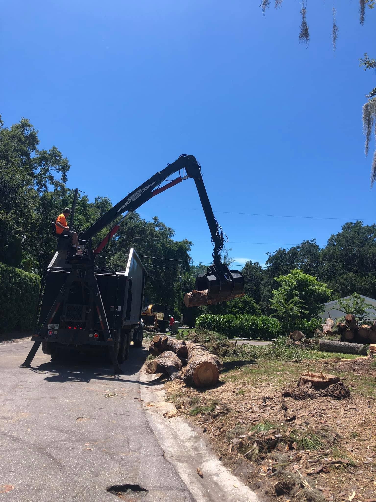 A grapple truck operator uses a hydraulic arm to load large tree logs into a truck bed beside a road on a sunny day.