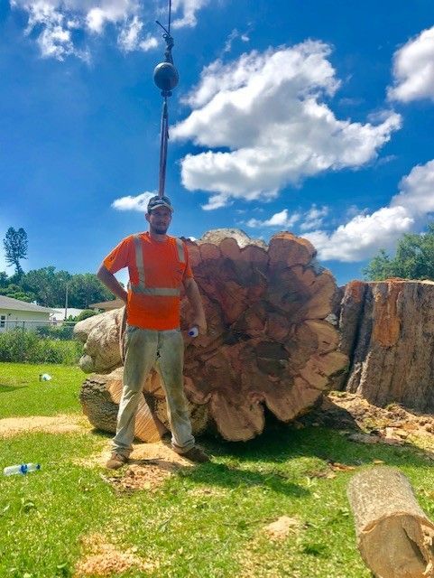 A person in an orange safety vest stands beside a large, freshly cut tree trunk in a grassy field under a sunny sky.