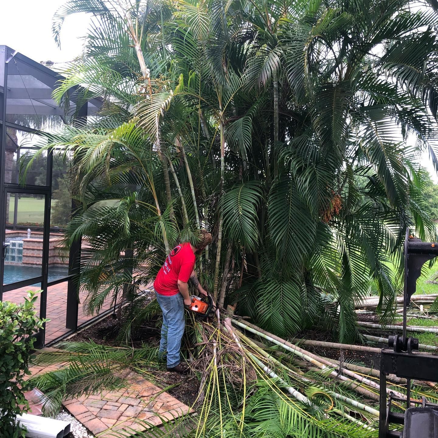 A poolside enclosure next to palm trees and freshly trimmed bushes with foliage scattered on the ground.