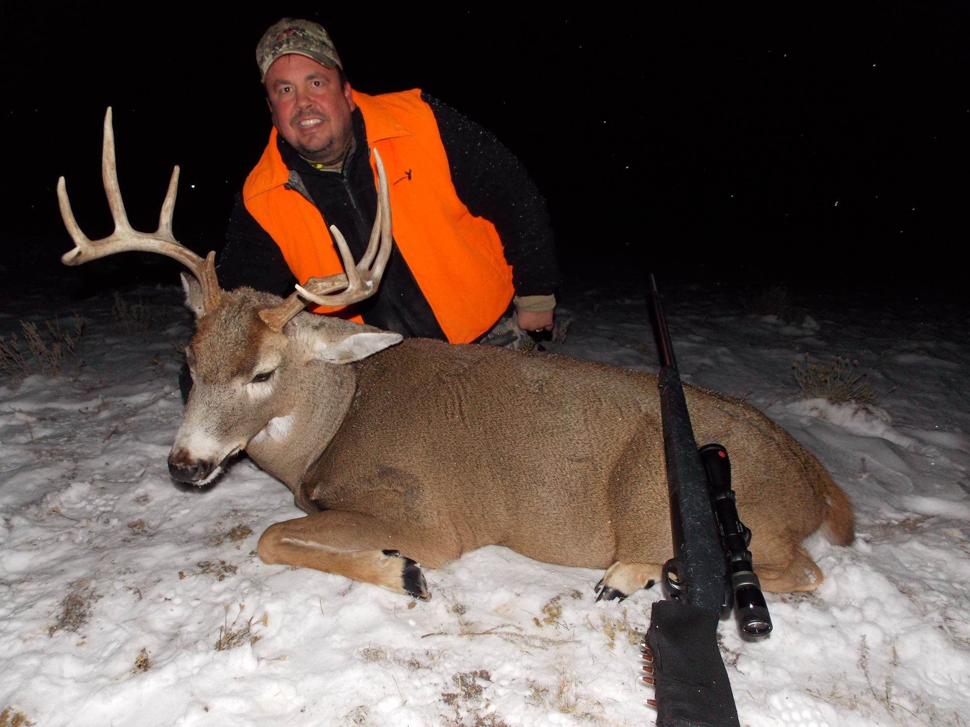 Whitetail Deer Gallery Image