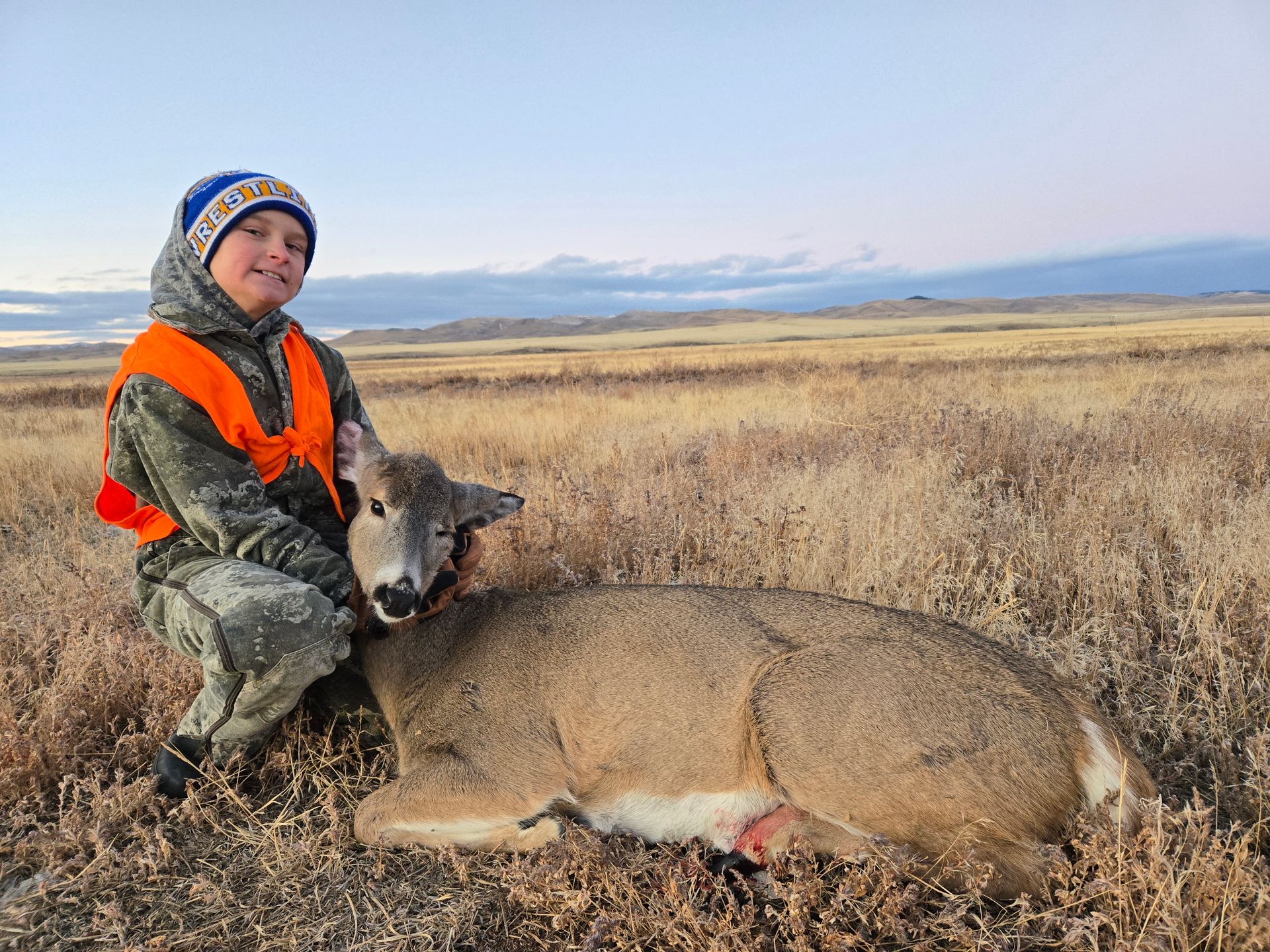 Whitetail Deer Gallery Image