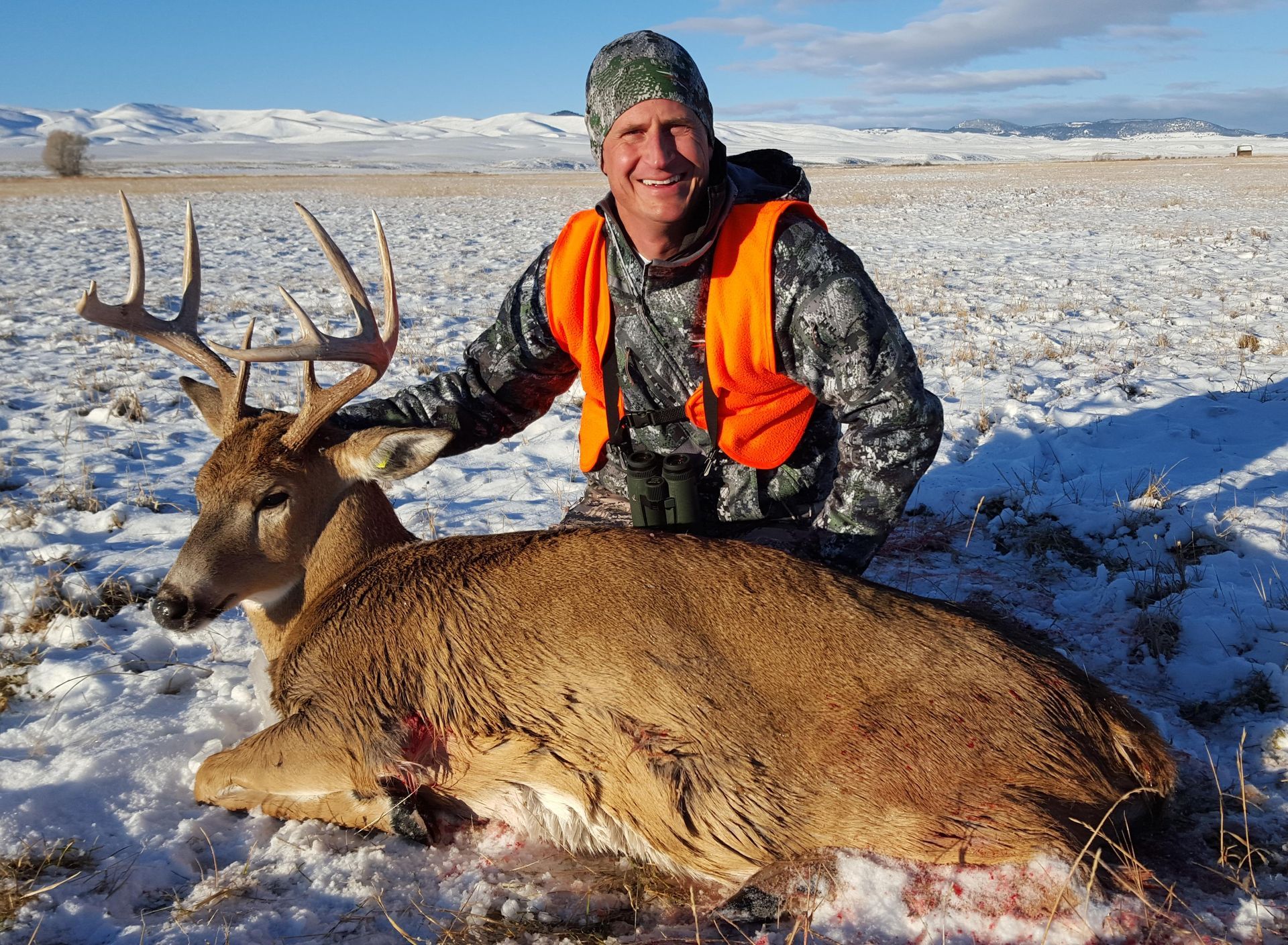 Whitetail Deer Gallery Image