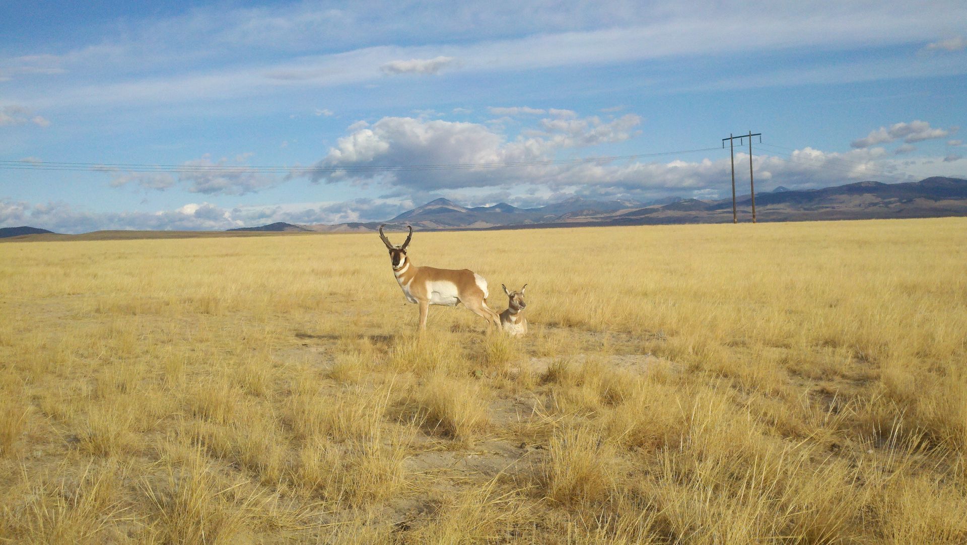 Antelope Archery Gallery Image