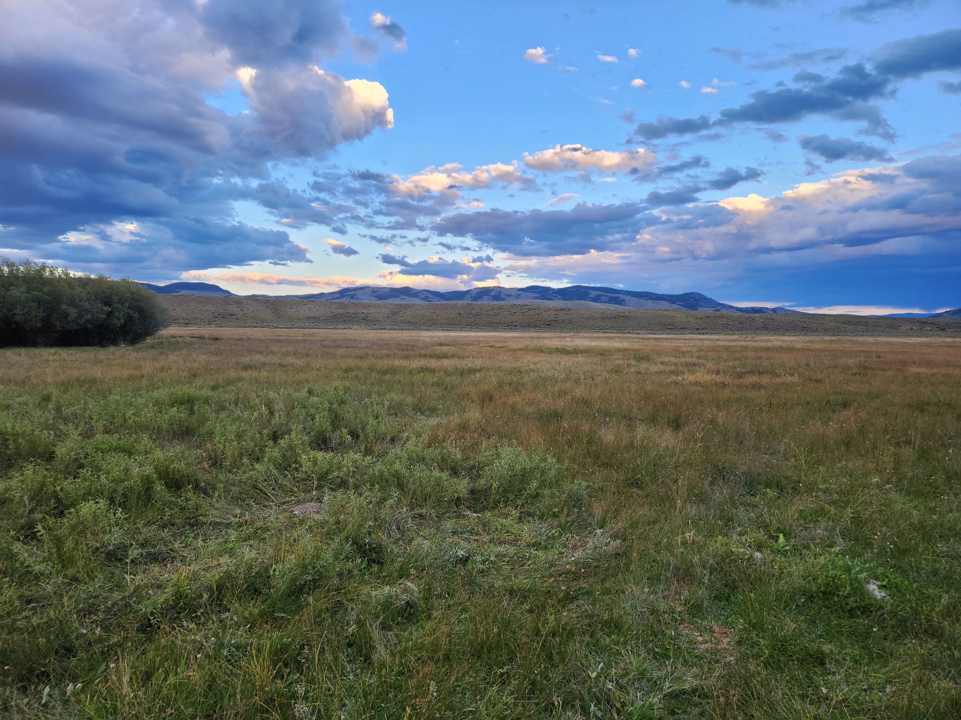 Montana Hunting Scenery