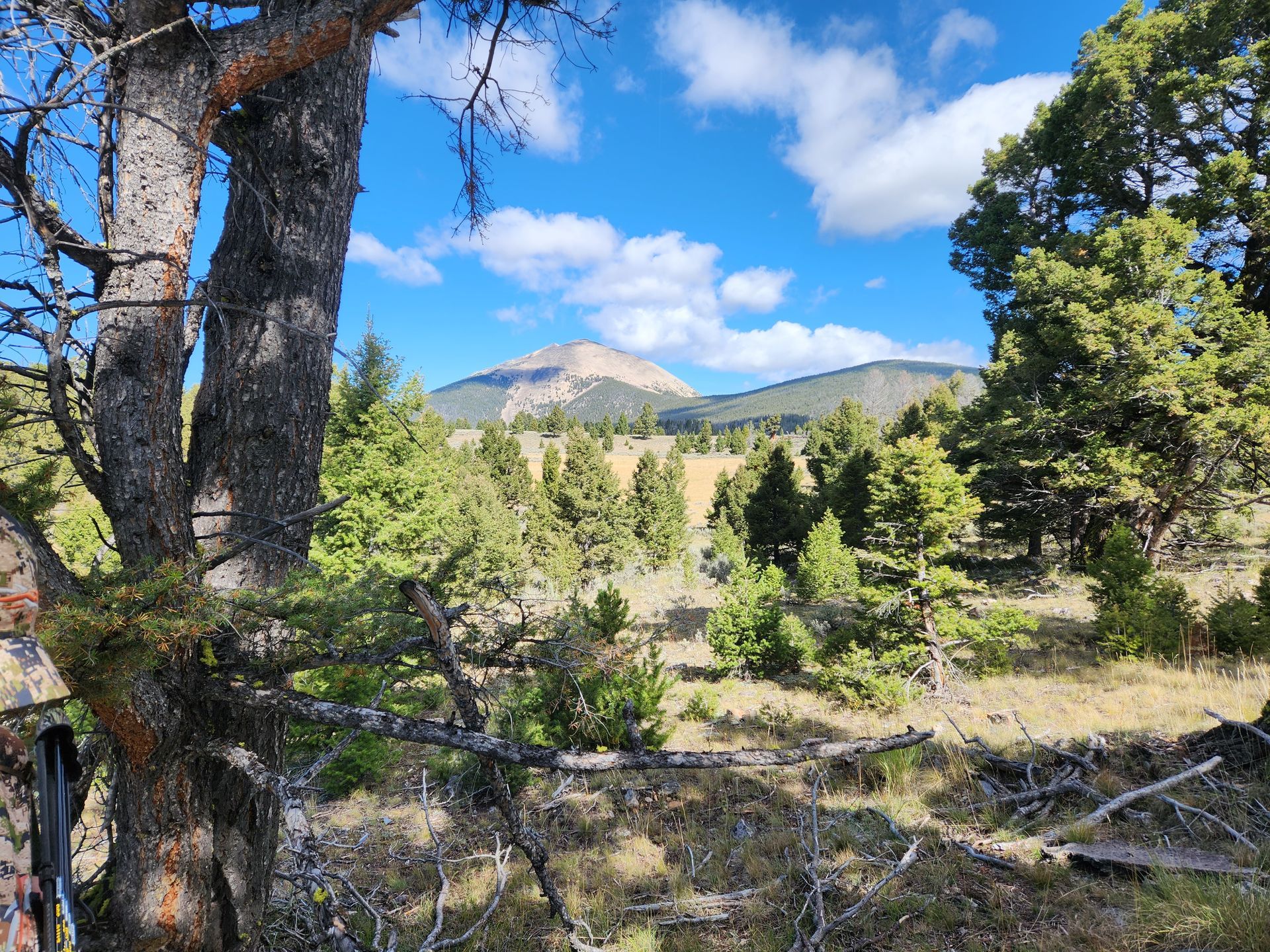 Montana Hunting Scenery