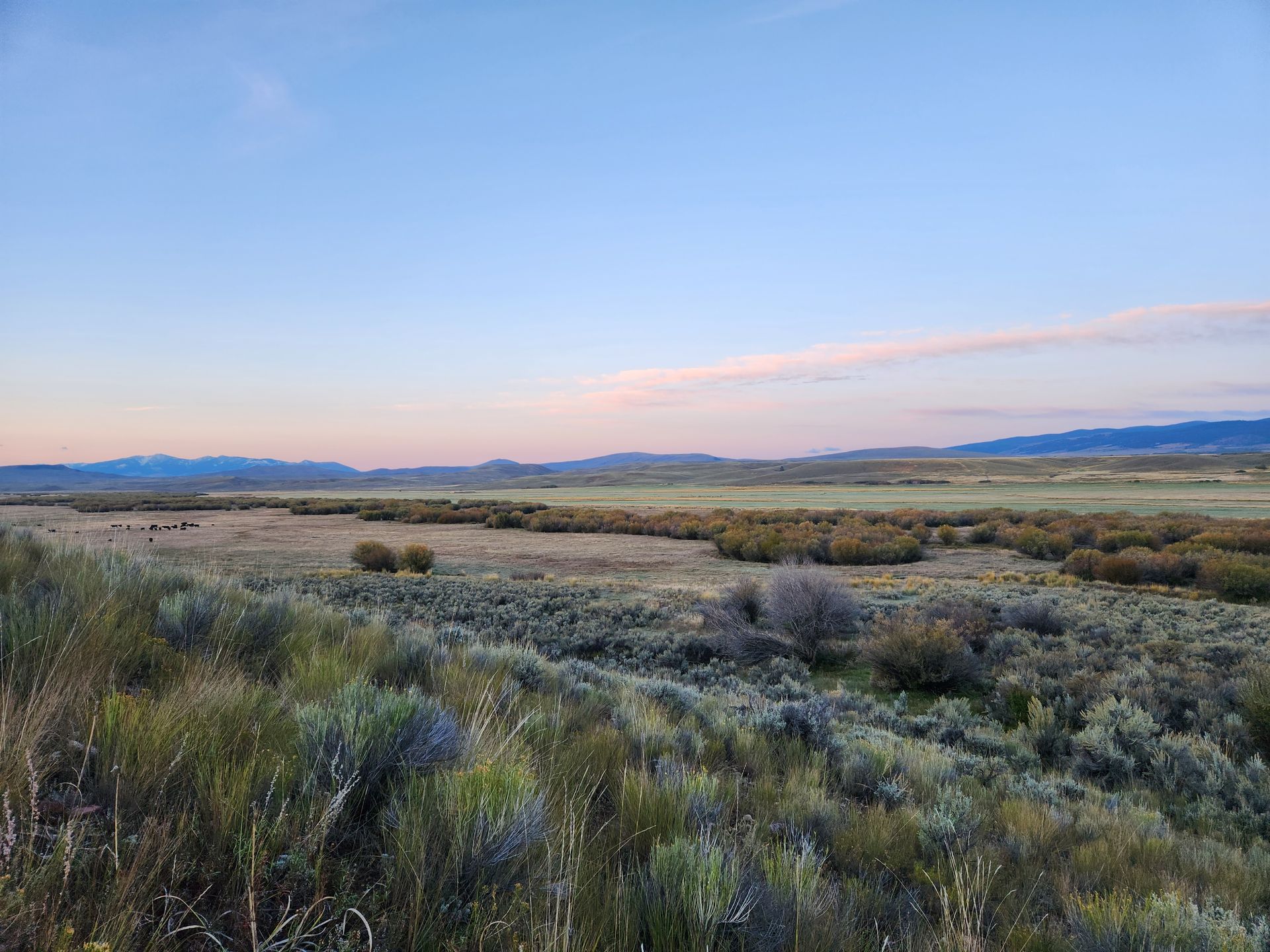 Montana Hunting Scenery