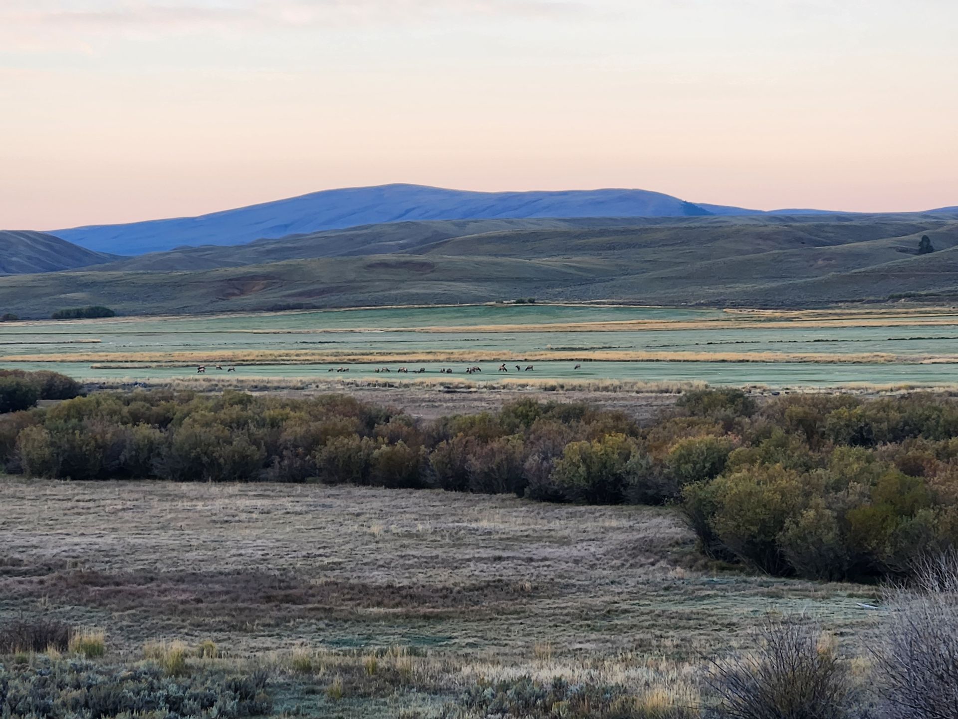 Montana Hunting Scenery