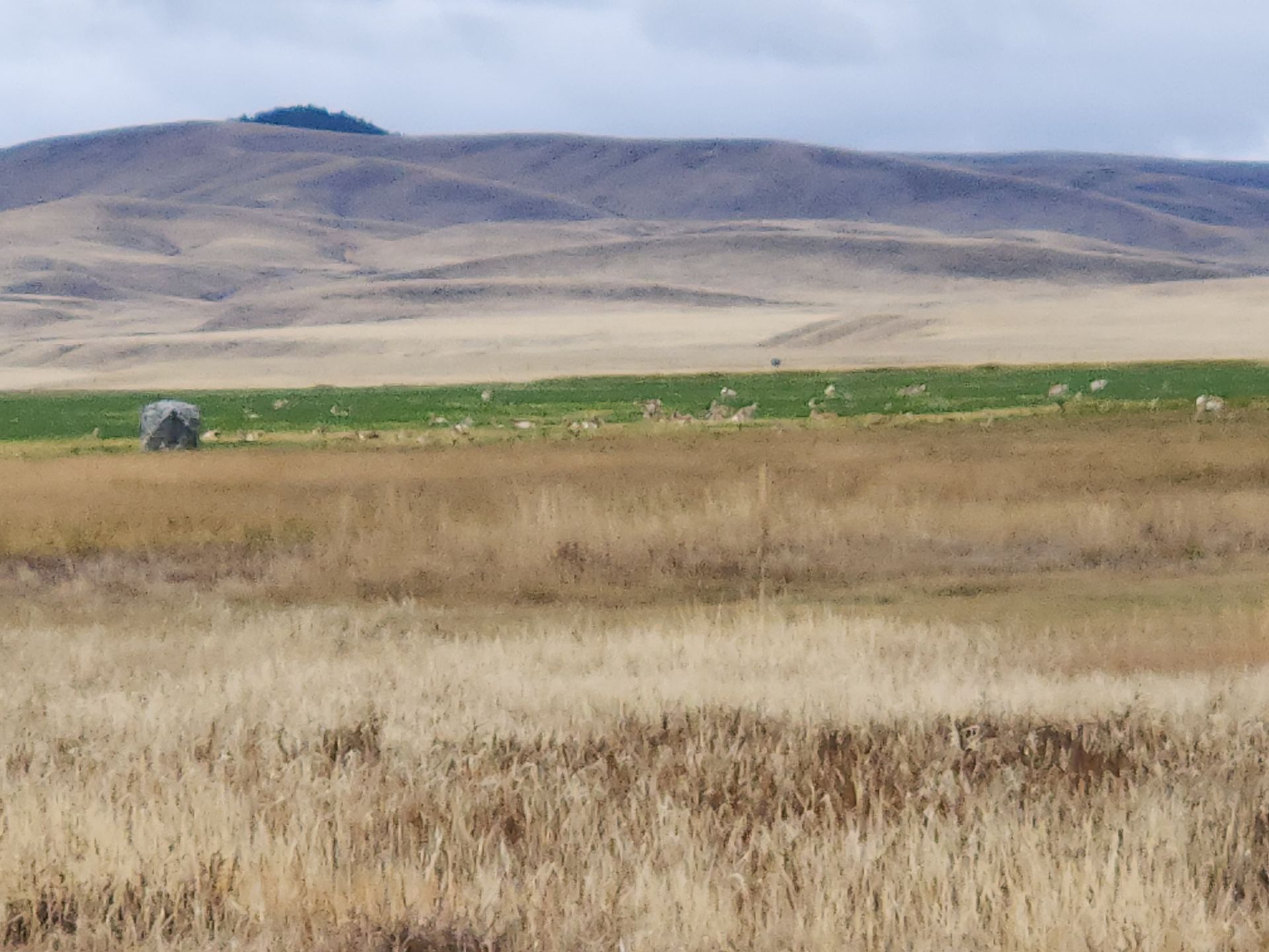 Montana Hunting Scenery