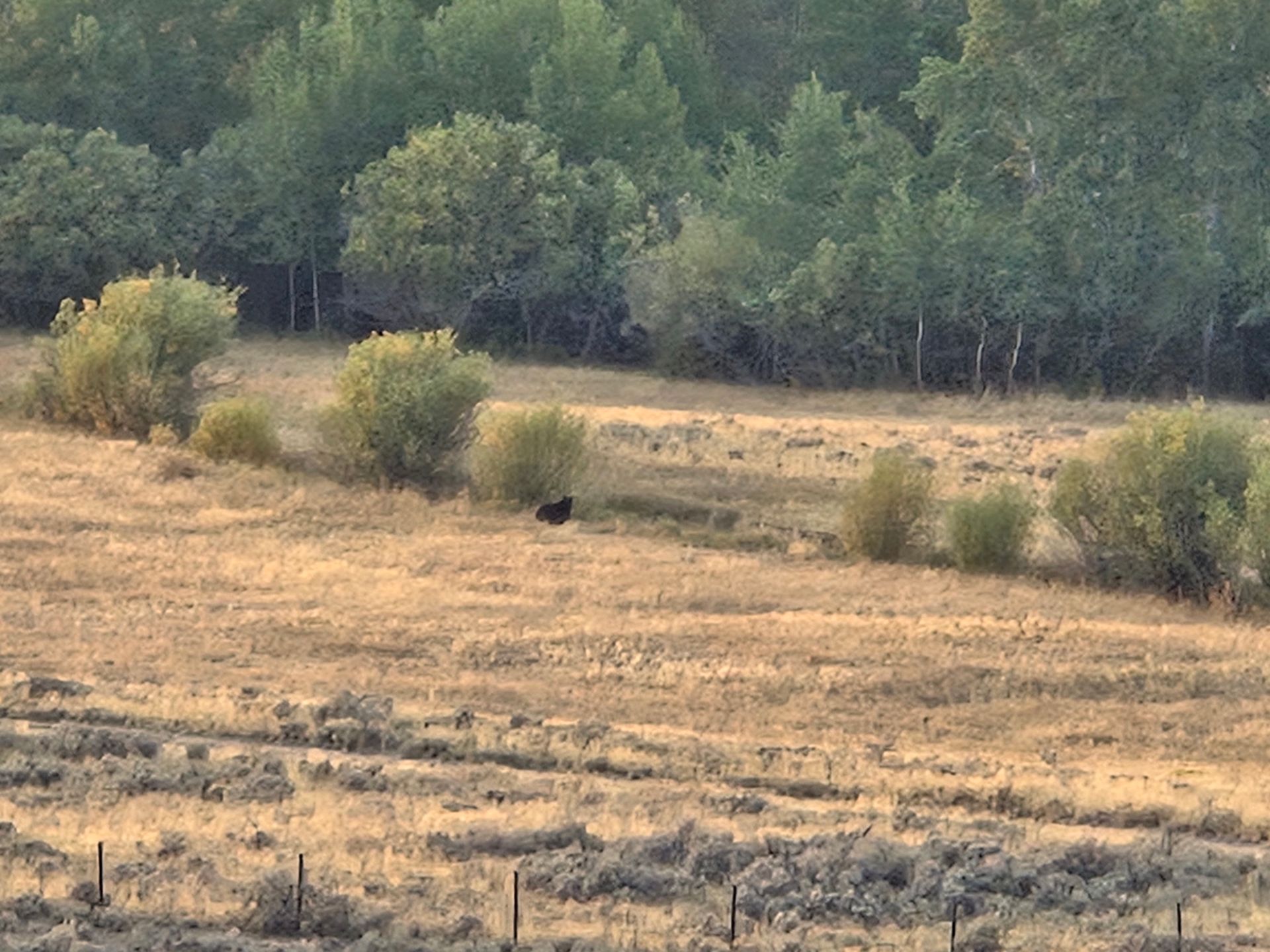 Montana Hunting Scenery