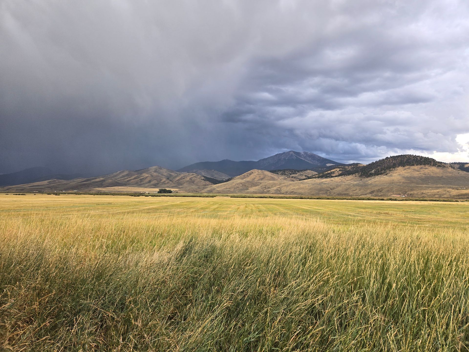 Montana Hunting Scenery