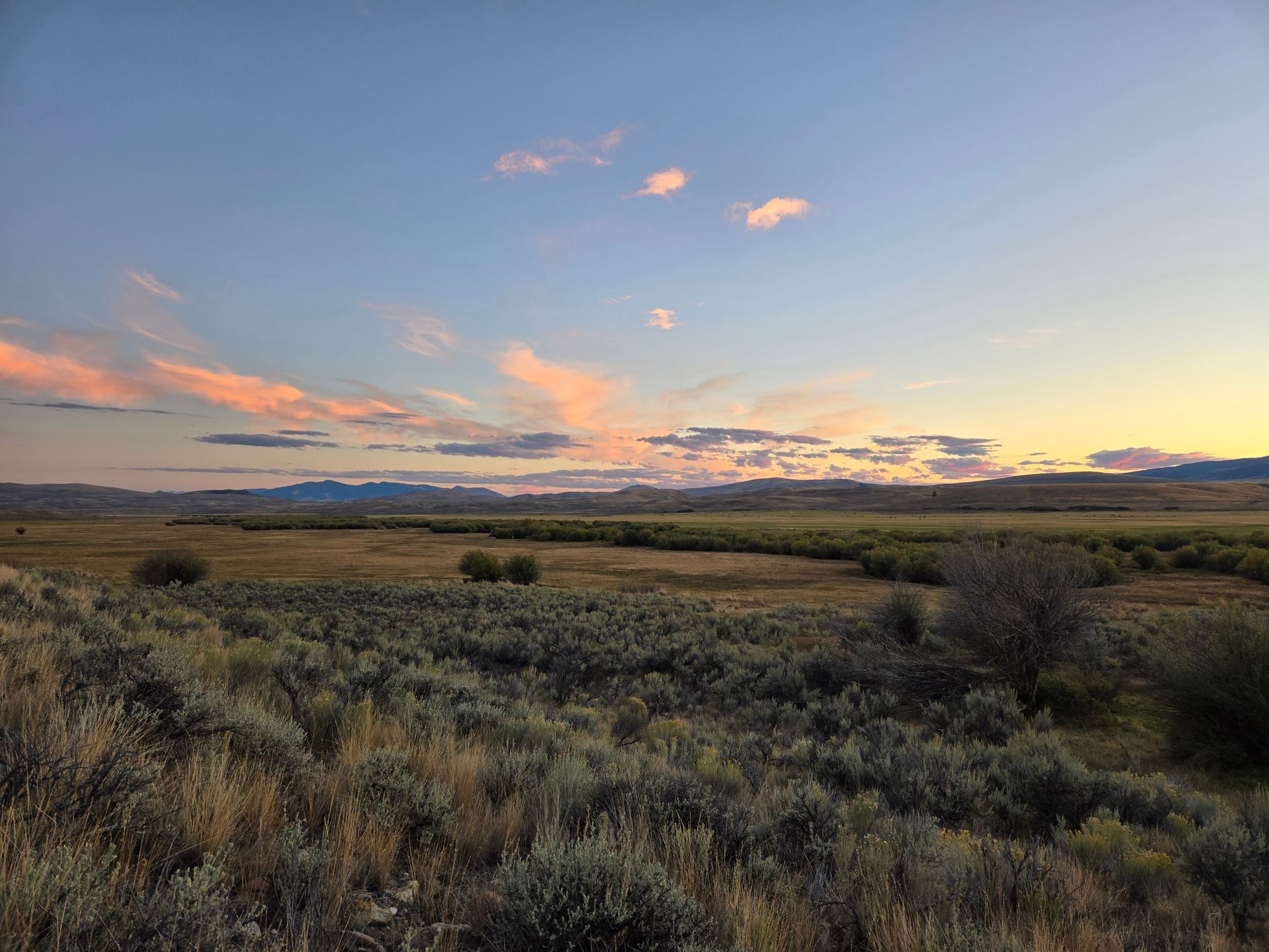 Montana Hunting Scenery