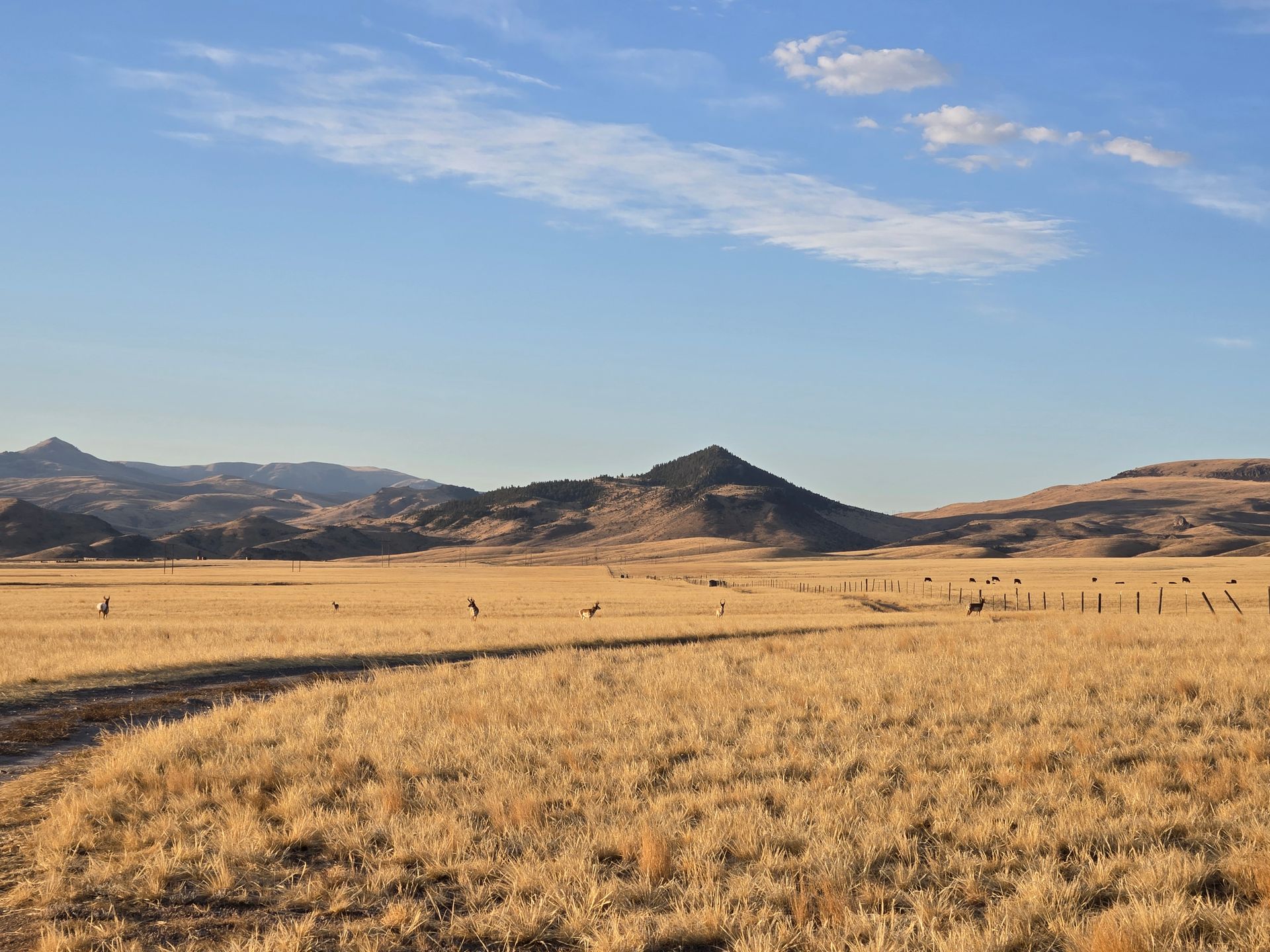 Montana Hunting Scenery