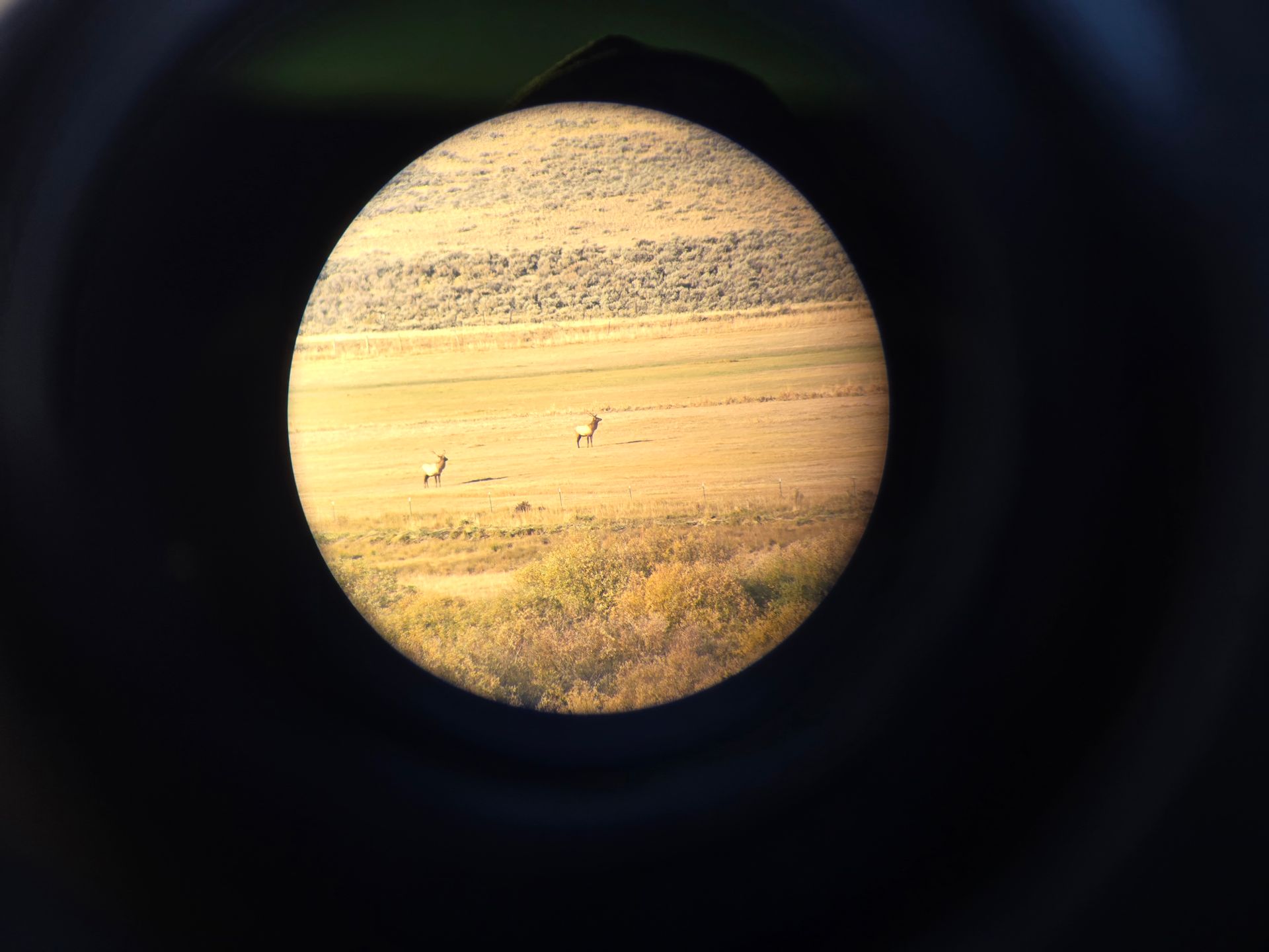 Montana Hunting Scenery