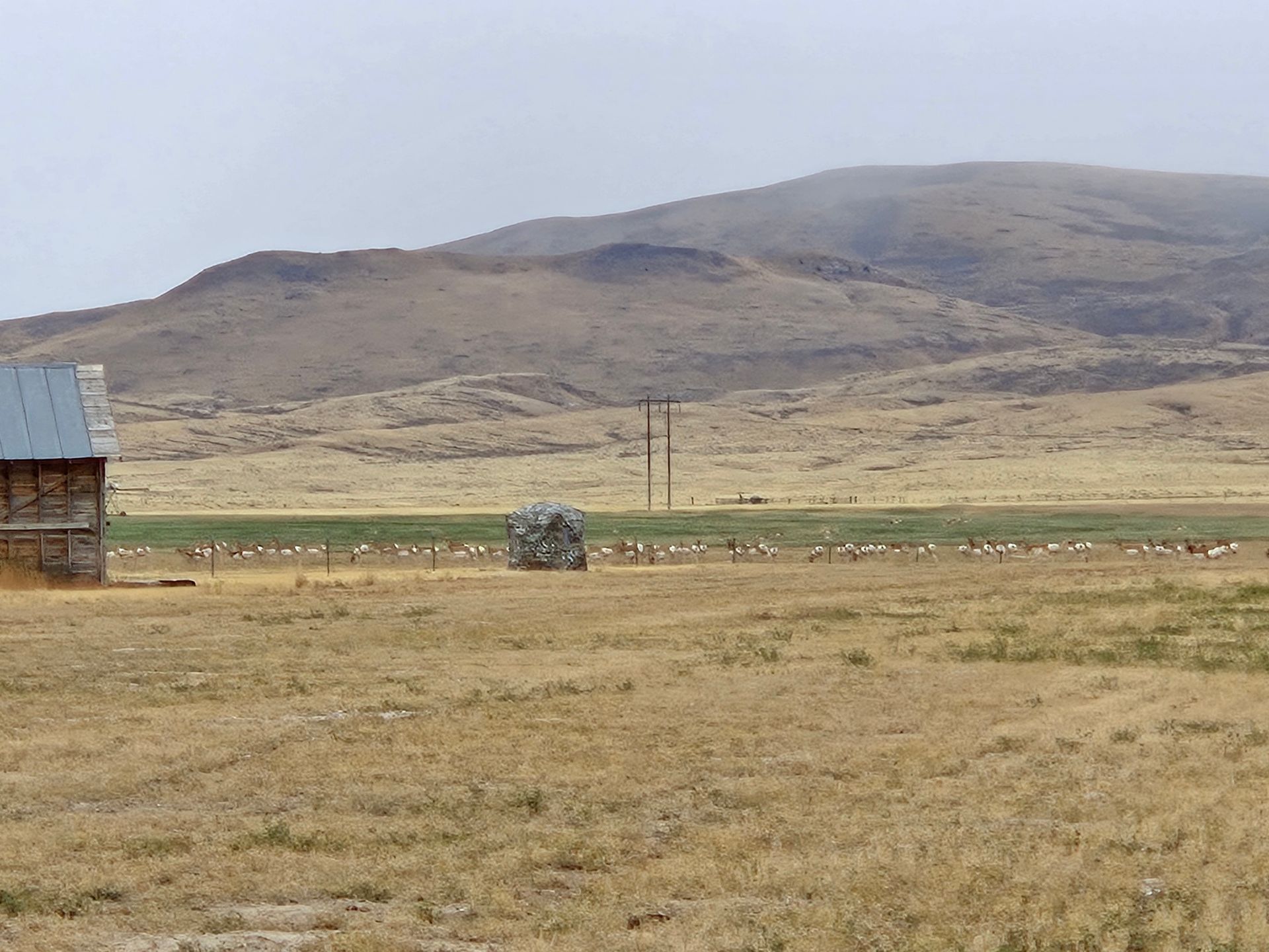 Montana Hunting Scenery