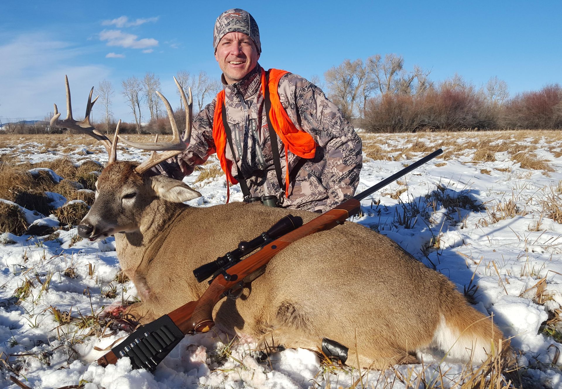 Whitetail Deer Gallery Image