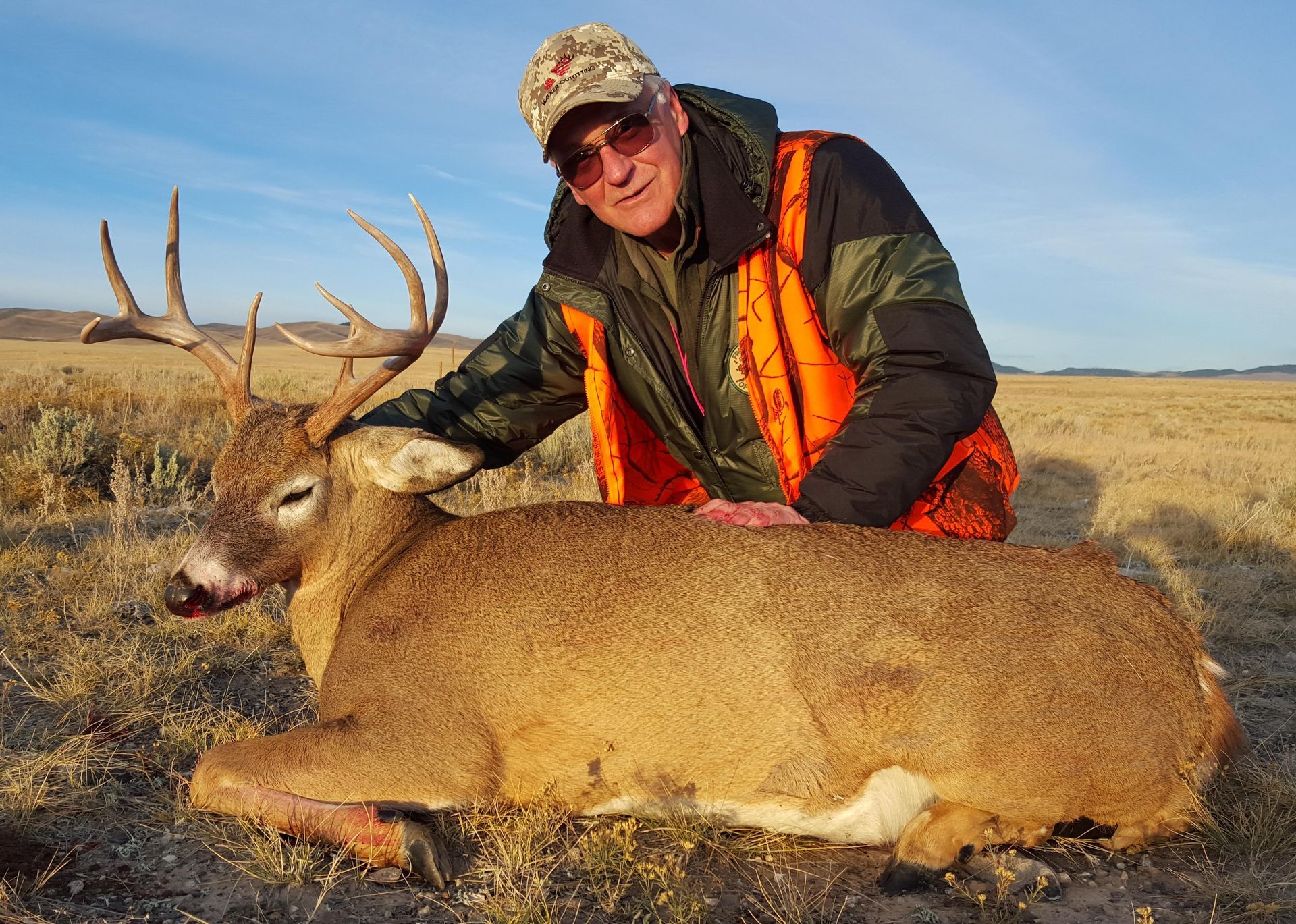 Whitetail Deer Gallery Image