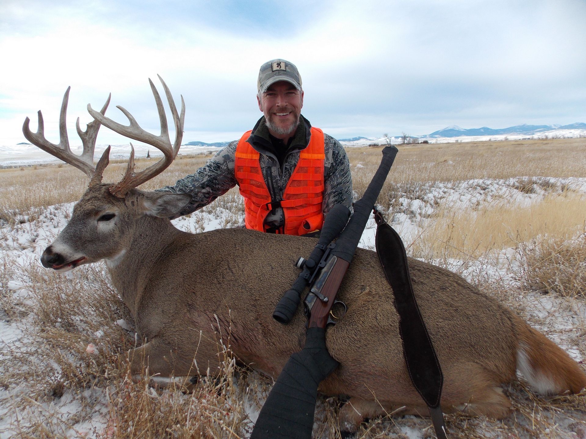 Whitetail Deer Gallery Image