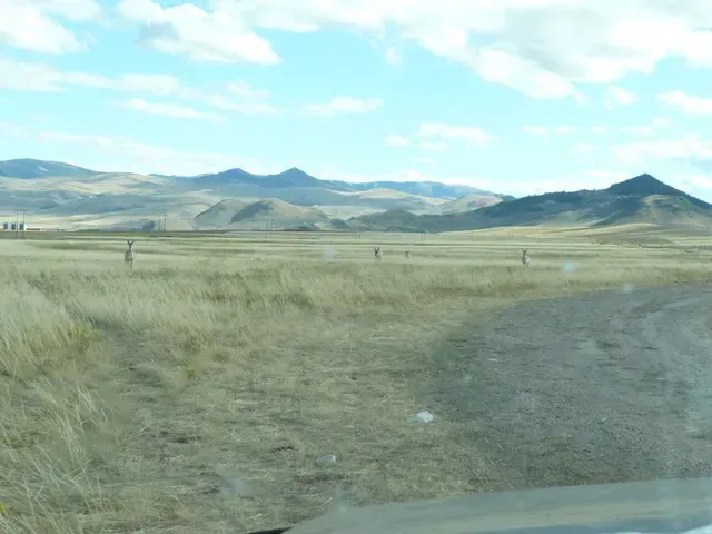 A car is driving down a dirt road with mountains in the background