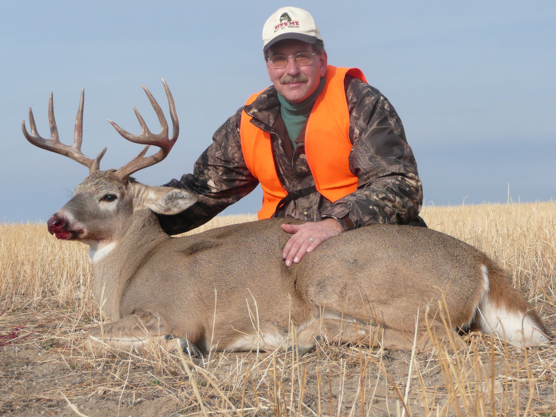 Whitetail Deer Gallery Image