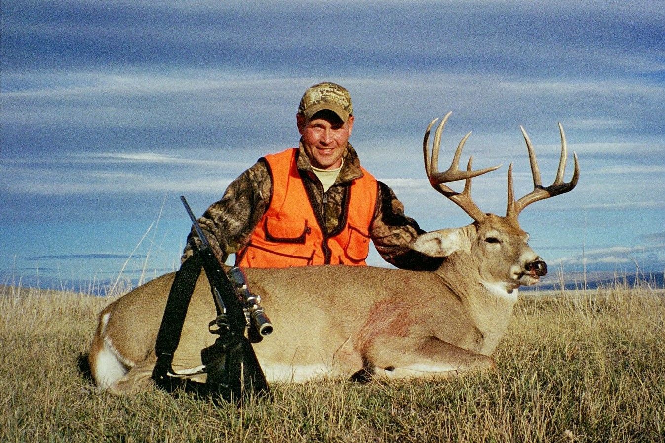 Whitetail Deer Gallery Image