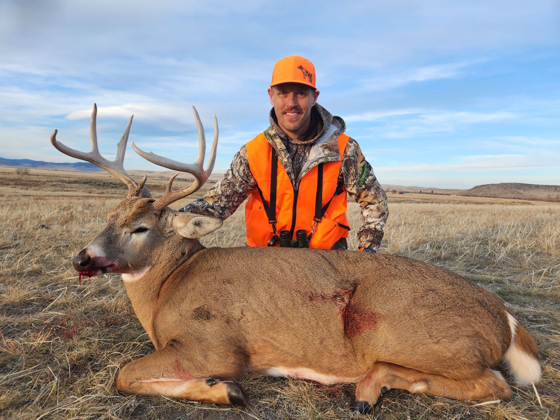 Whitetail Deer Gallery Image