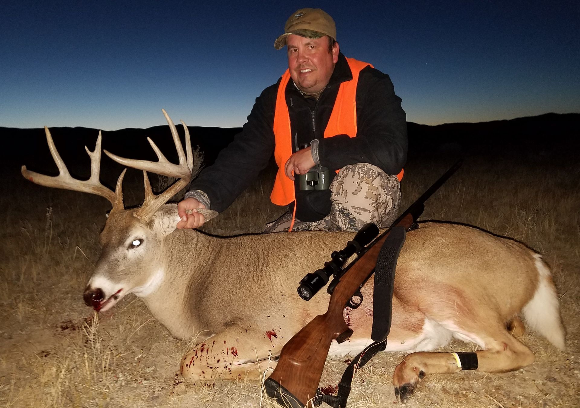 Whitetail Deer Gallery Image