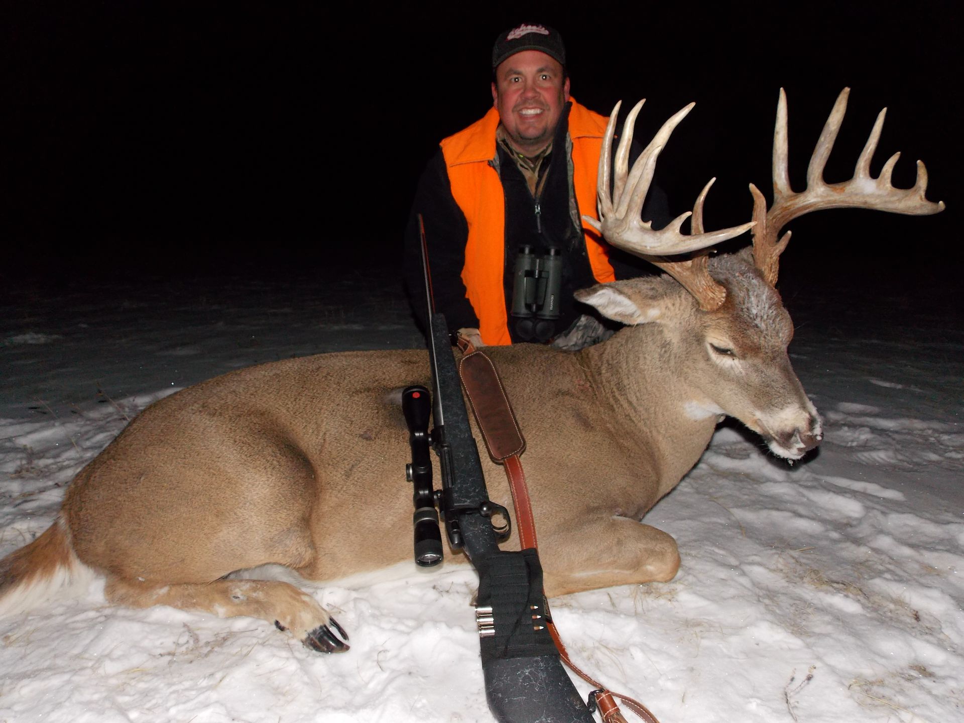 Whitetail Deer Gallery Image