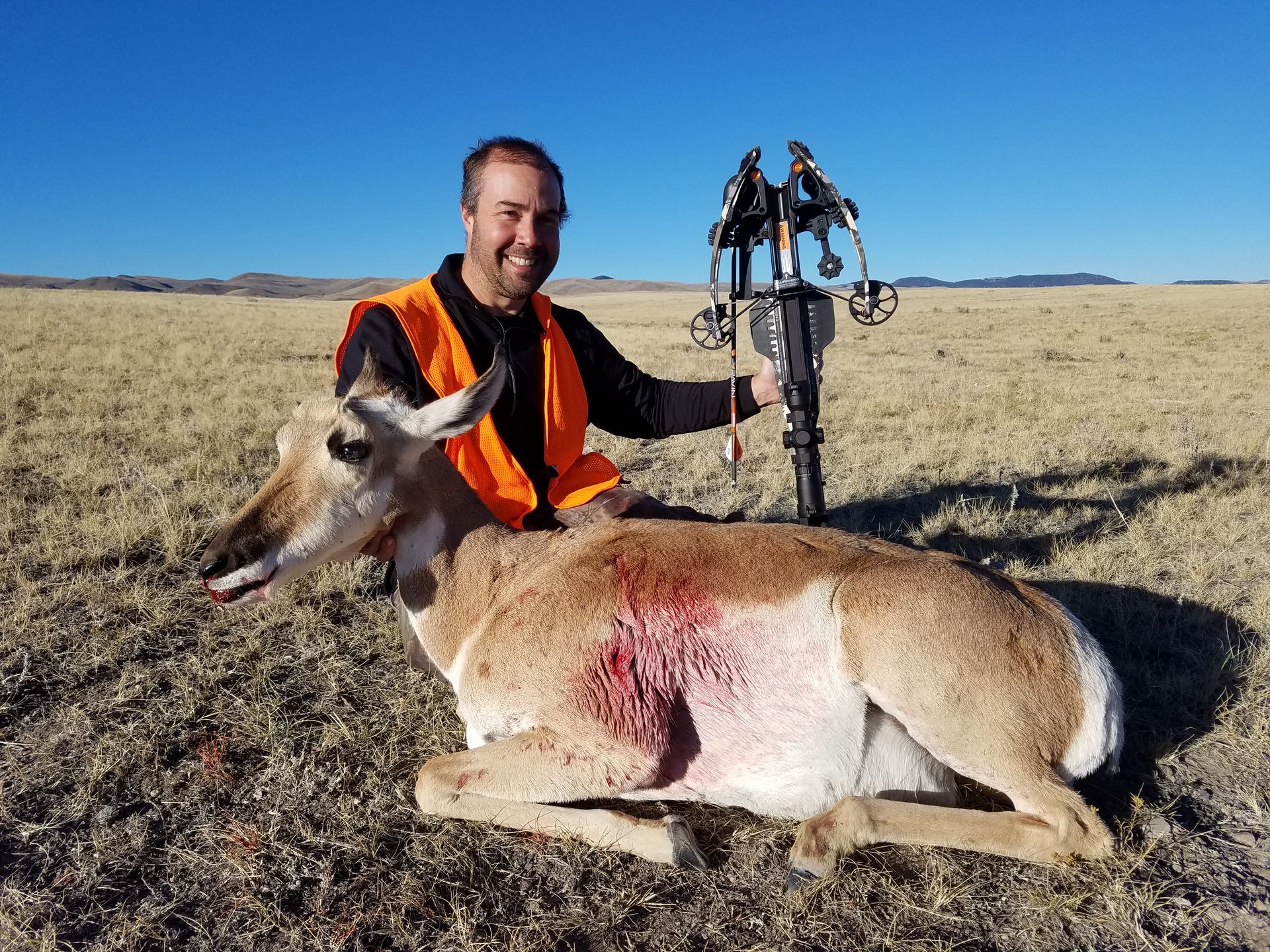 Antelope Archery Gallery Image