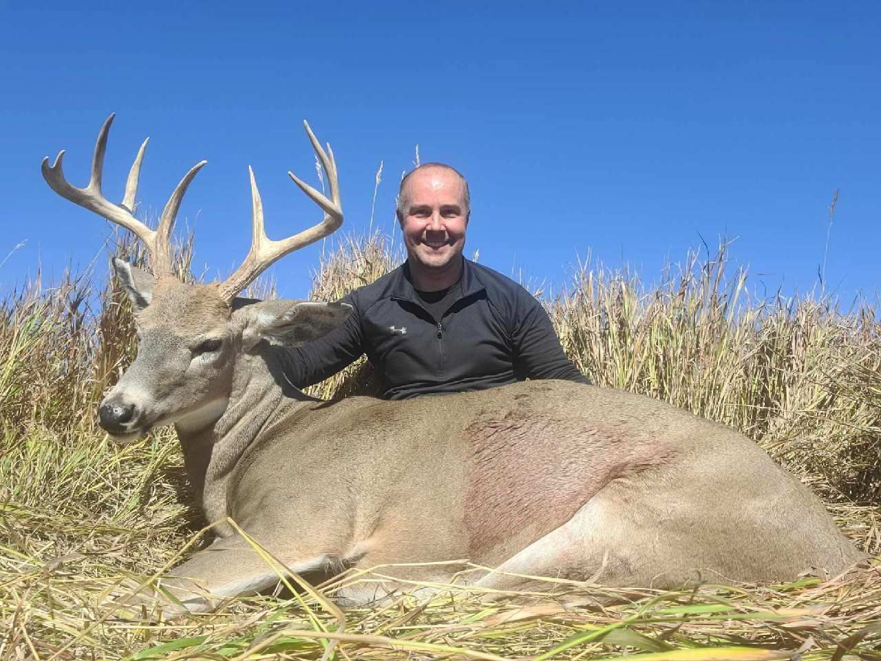 Whitetail Deer Gallery Image