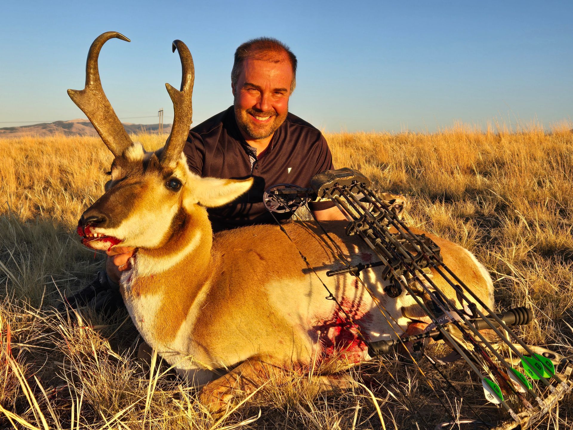 Antelope Archery Gallery Image