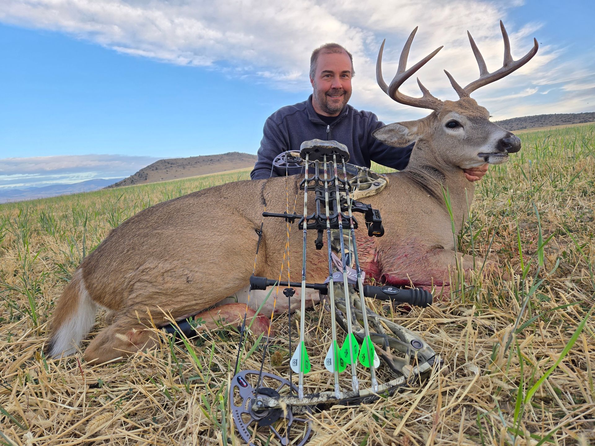 Whitetail Deer Gallery Image