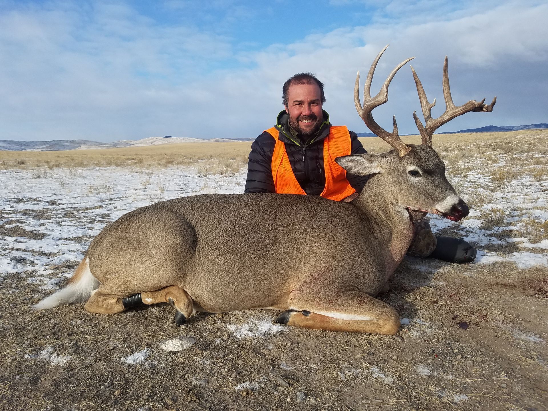 Whitetail Deer Gallery Image