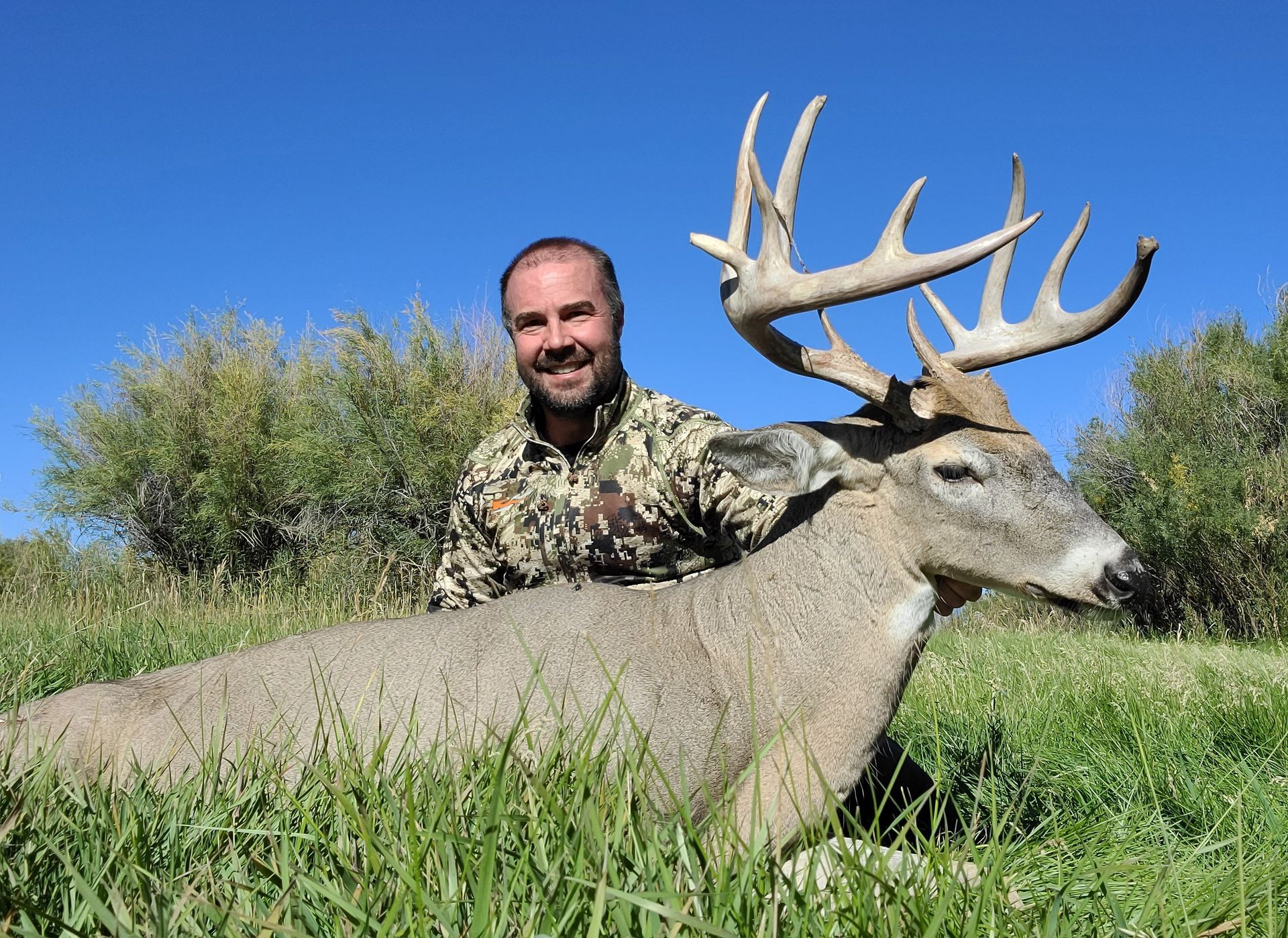 Whitetail Deer Gallery Image