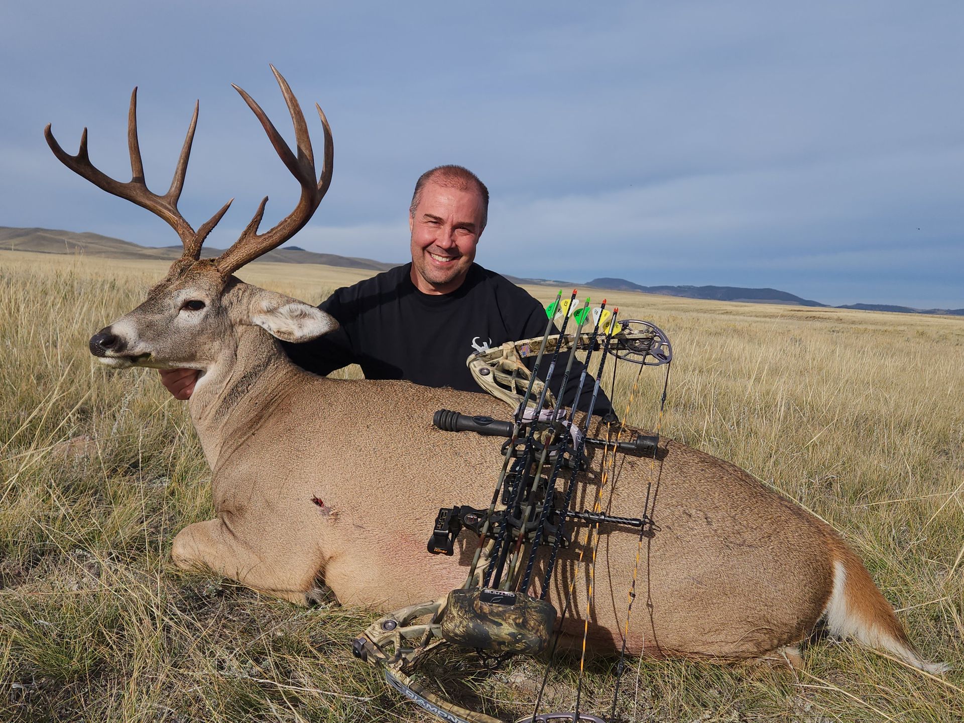 Whitetail Deer Gallery Image