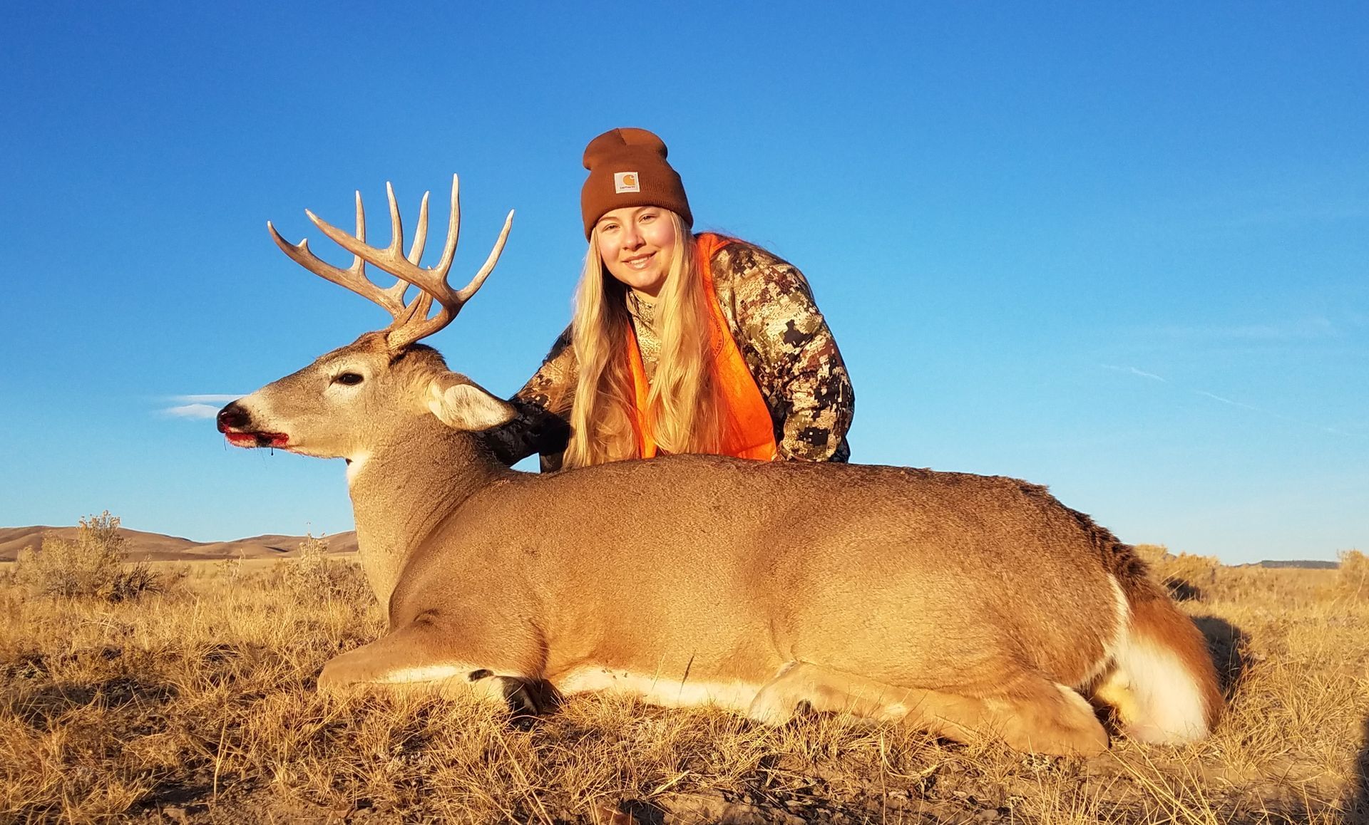 Whitetail Deer Gallery Image