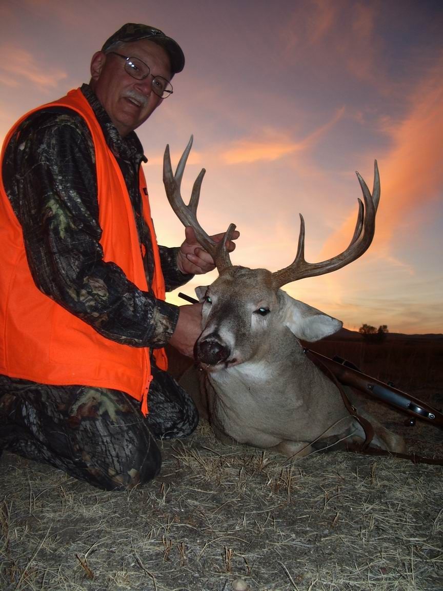 Whitetail Deer Gallery Image