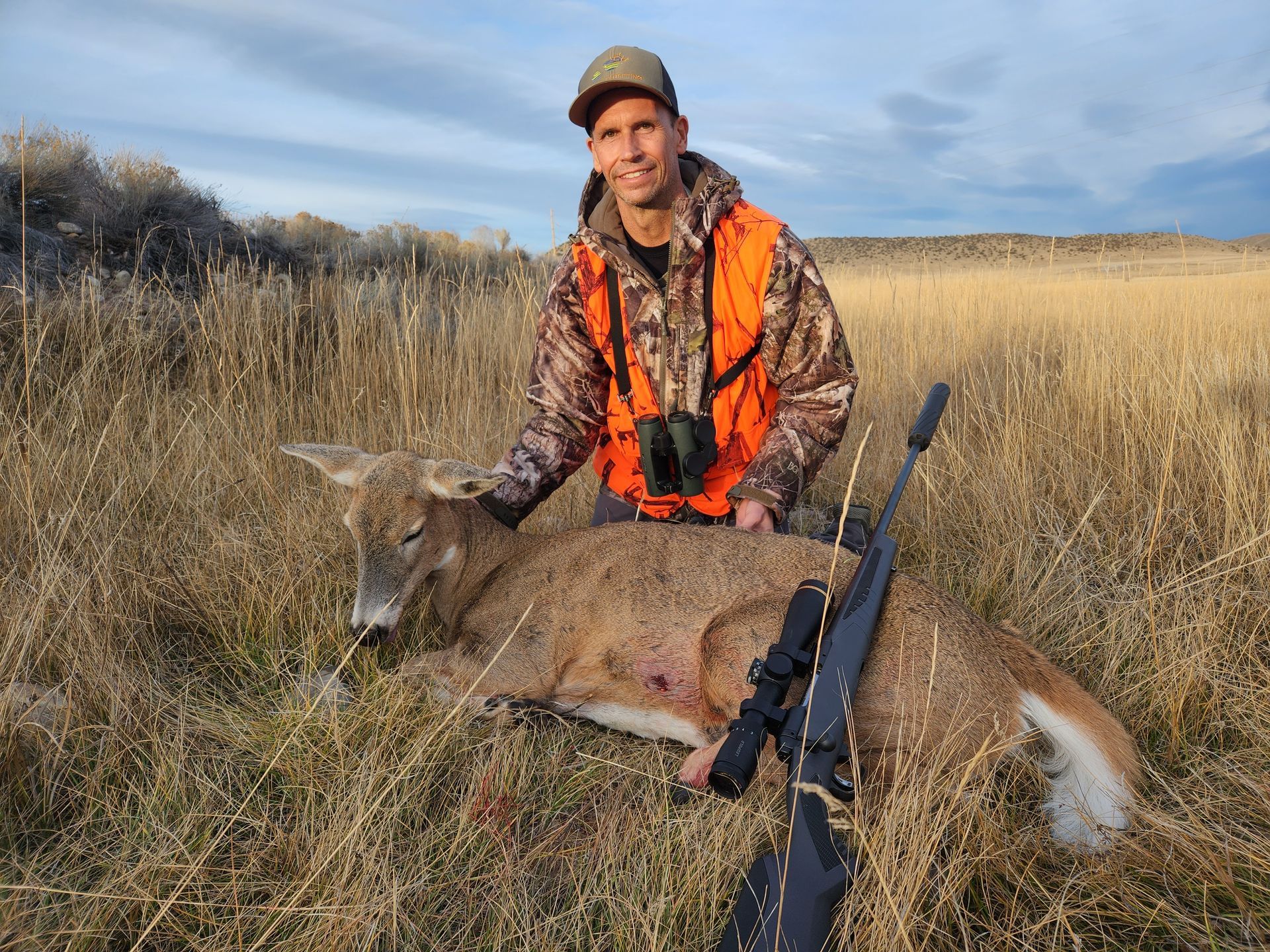 Whitetail Deer Gallery Image