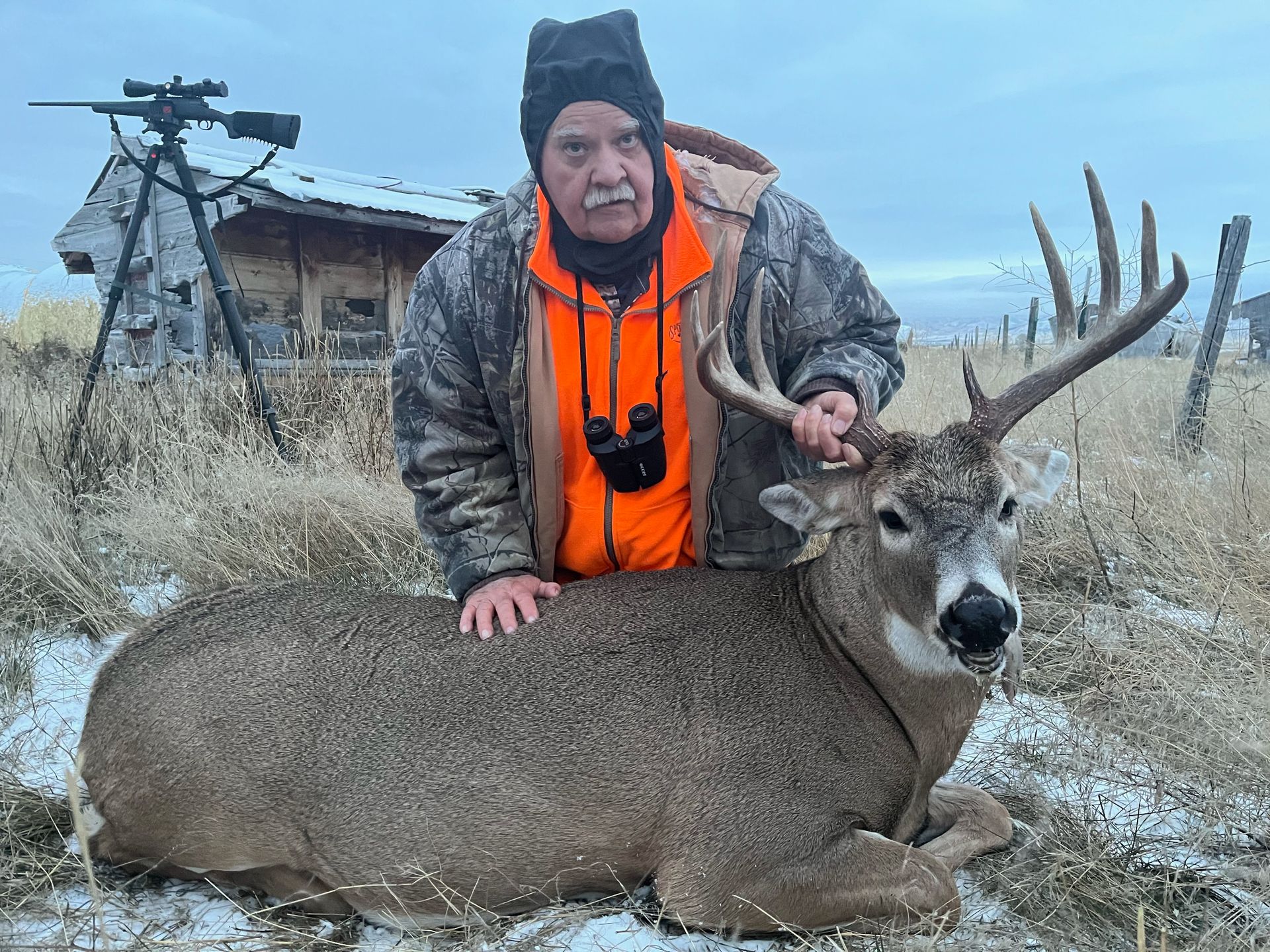 Whitetail Deer Gallery Image