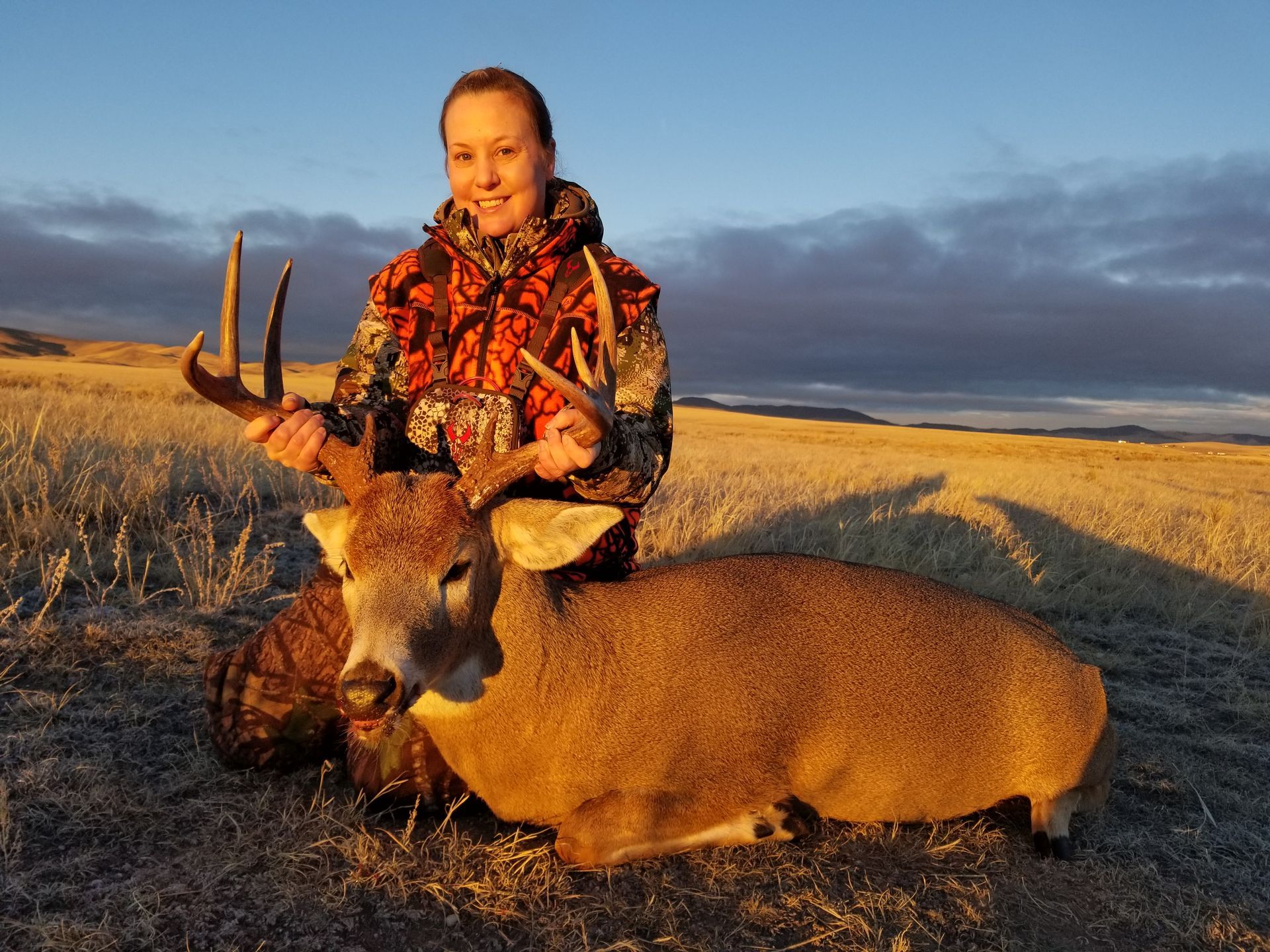 Whitetail Deer Gallery Image