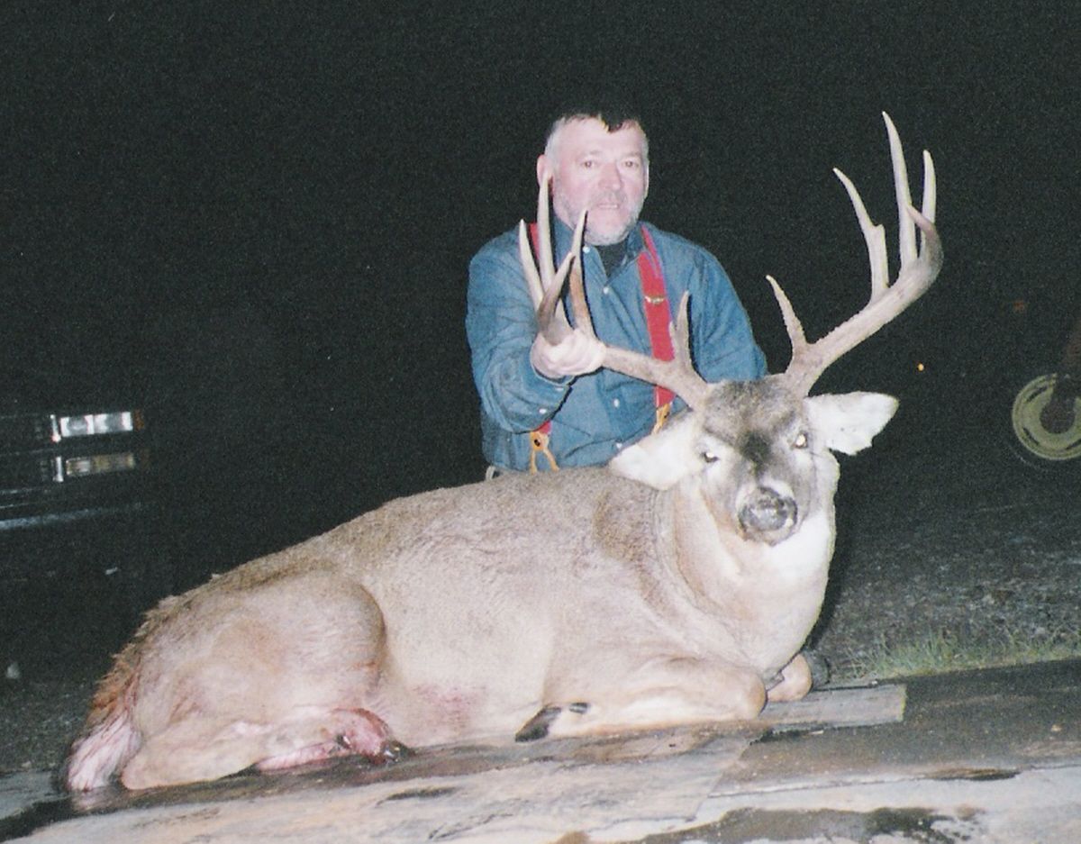 Whitetail Deer Gallery Image