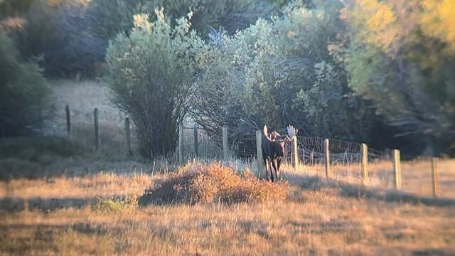 Montana Hunting Scenery