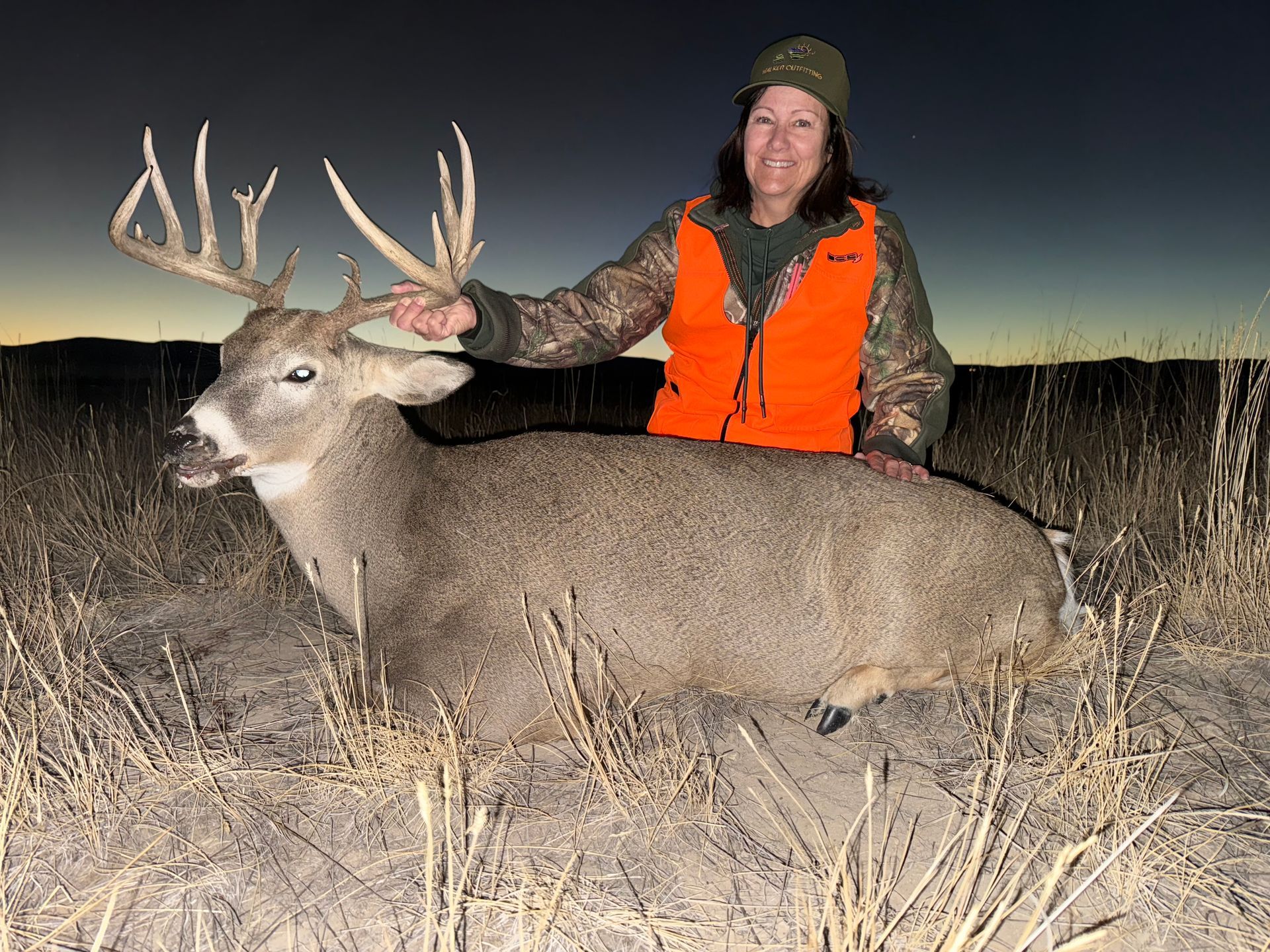 Whitetail Deer Gallery Image