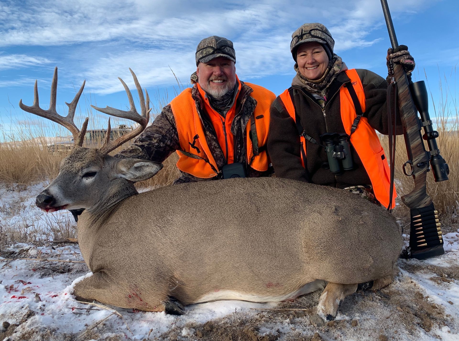 Whitetail Deer Gallery Image